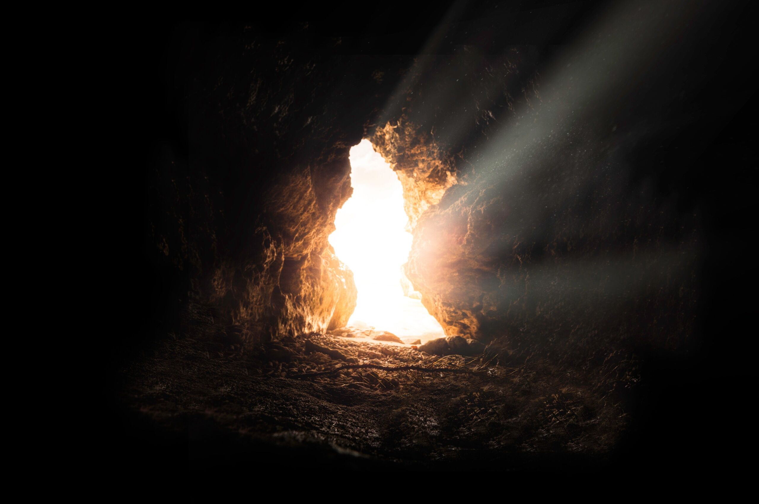  Unsplash