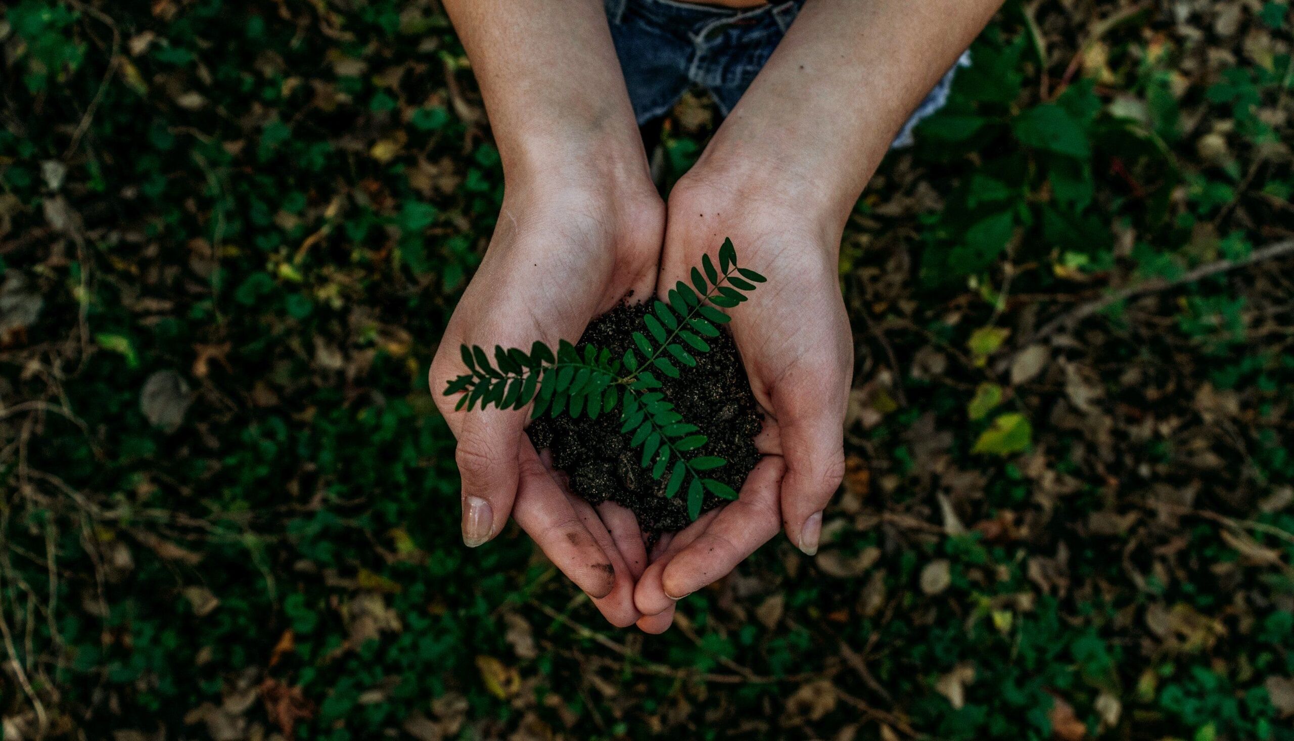 Noah Buscher / Unsplash