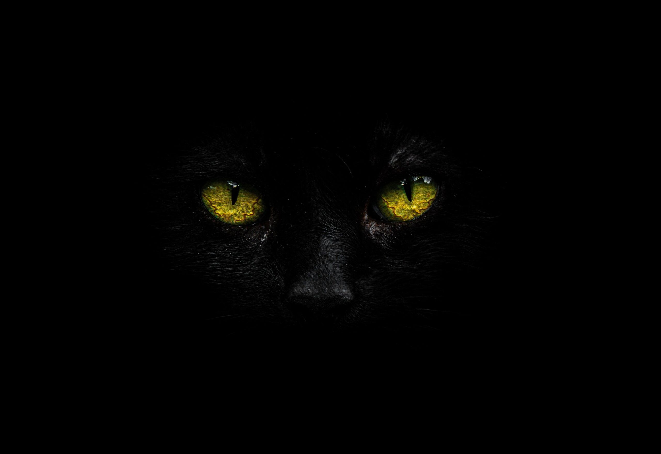 Unsplash