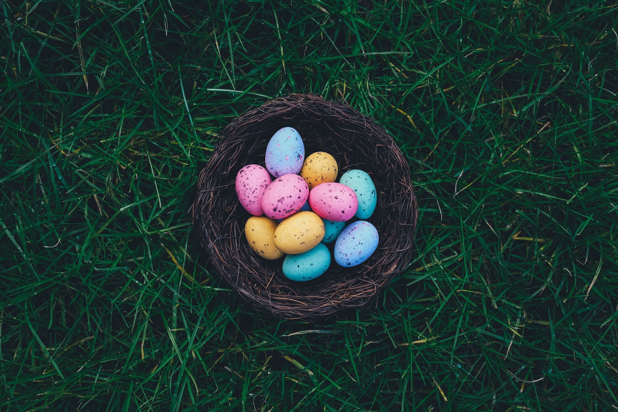  Annie Spratt/Unsplash
