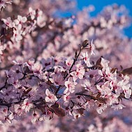 Fotó: Shutterstock