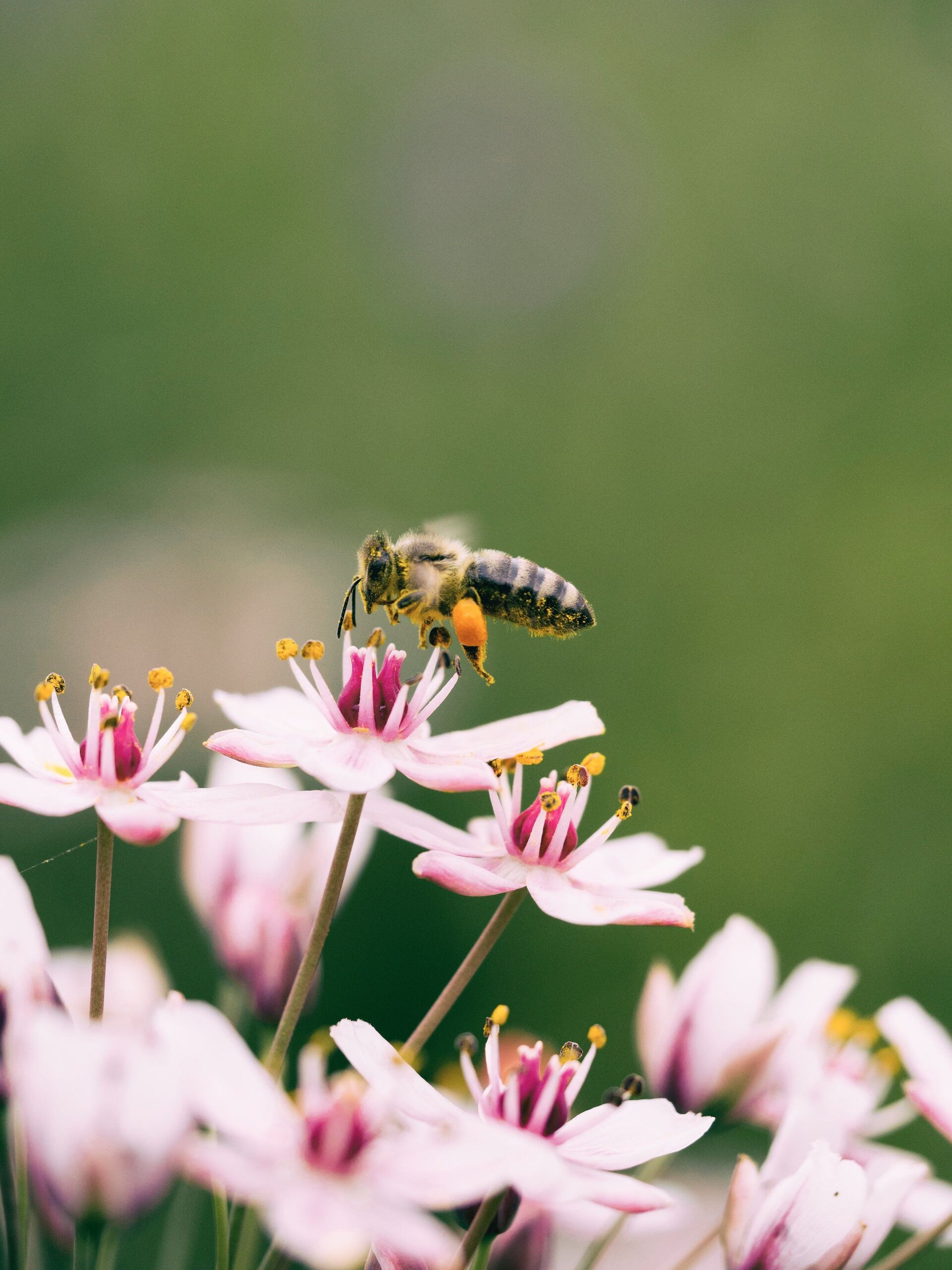 Unsplash