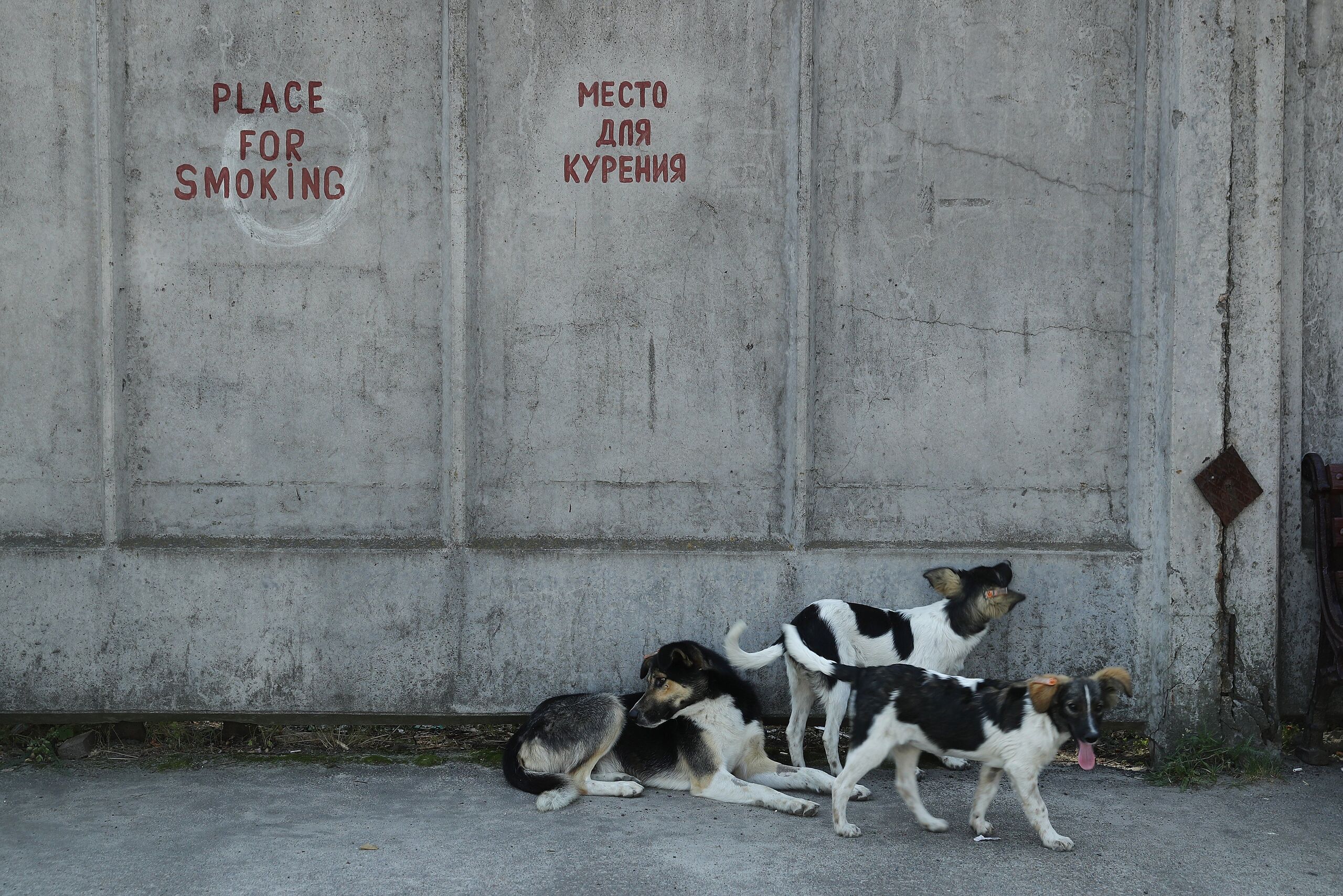 Getty Images