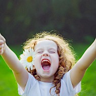 Fotó: Shutterstock