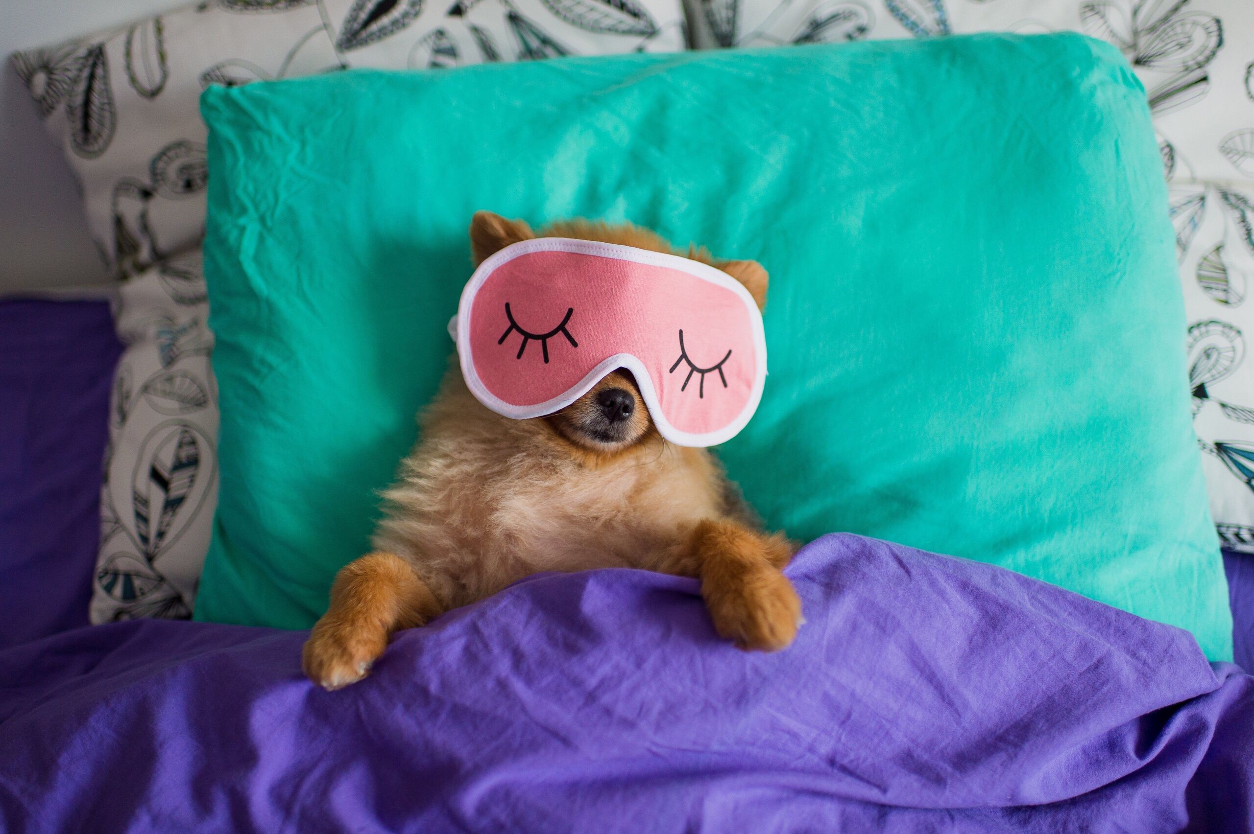 Shutterstock