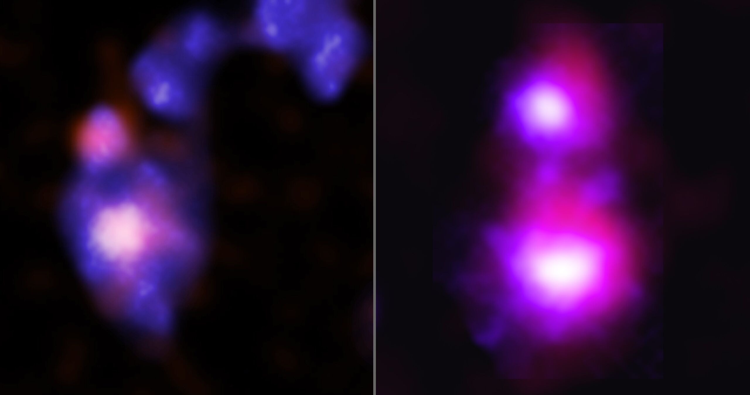 NASA/CXC/University of Alabama/M. Micic et al./International Gemini Observatory/NOIRLab/NSF/AURA
