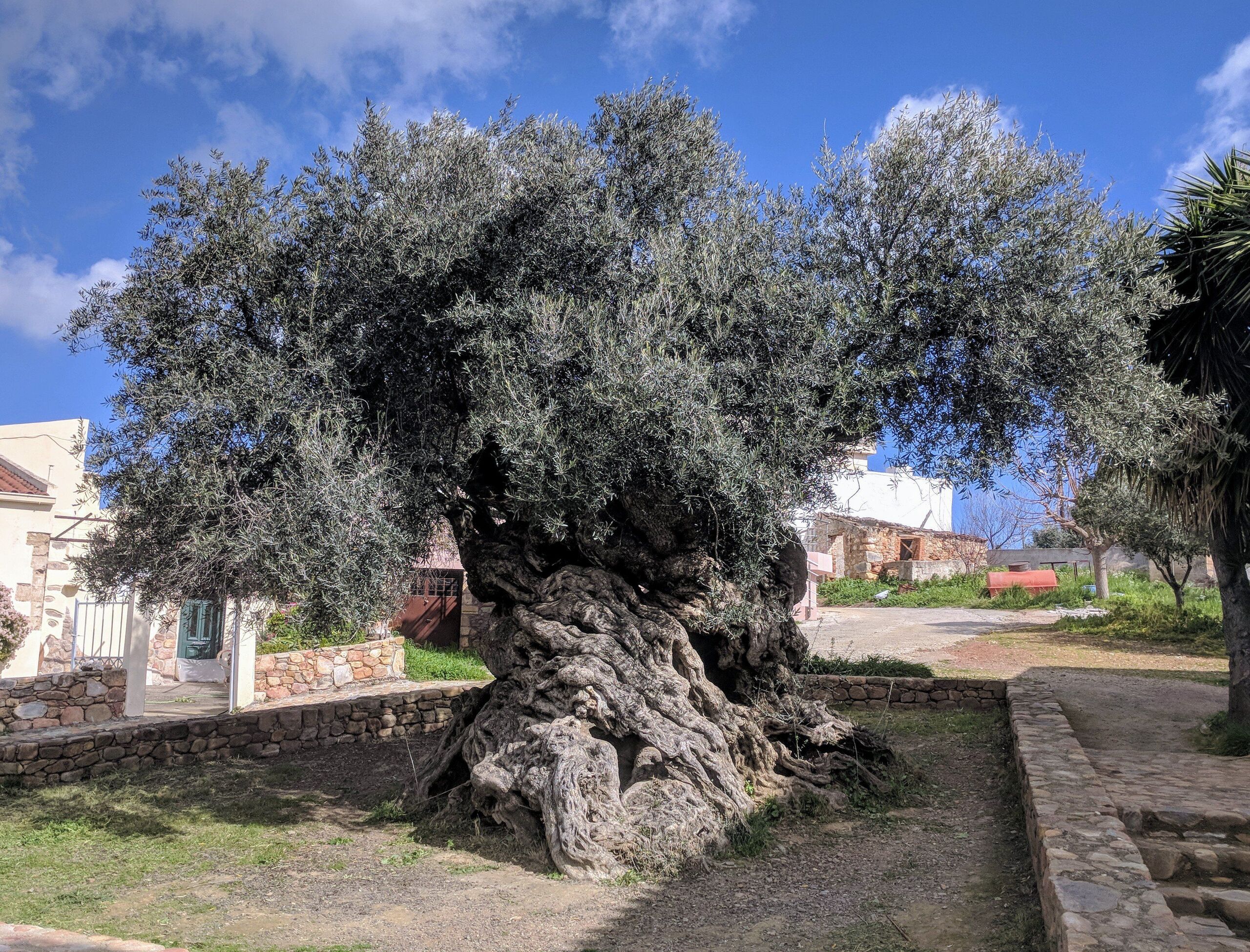 Forrás: Wikimedia Commons