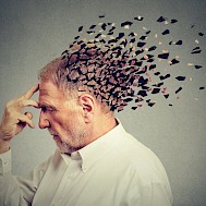 K&eacute;p: Shutterstock