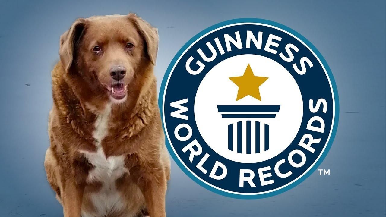 Youtube / Guinness World Records