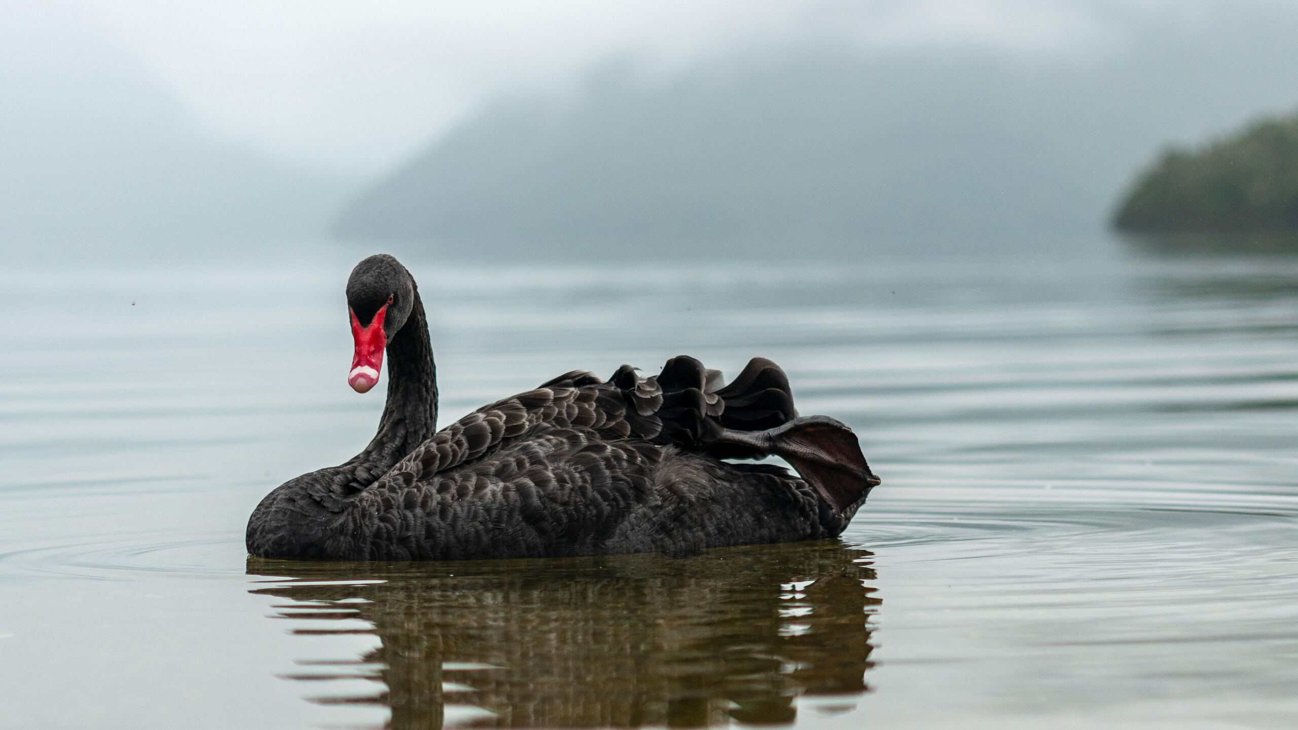 Fotó: Shutterstock