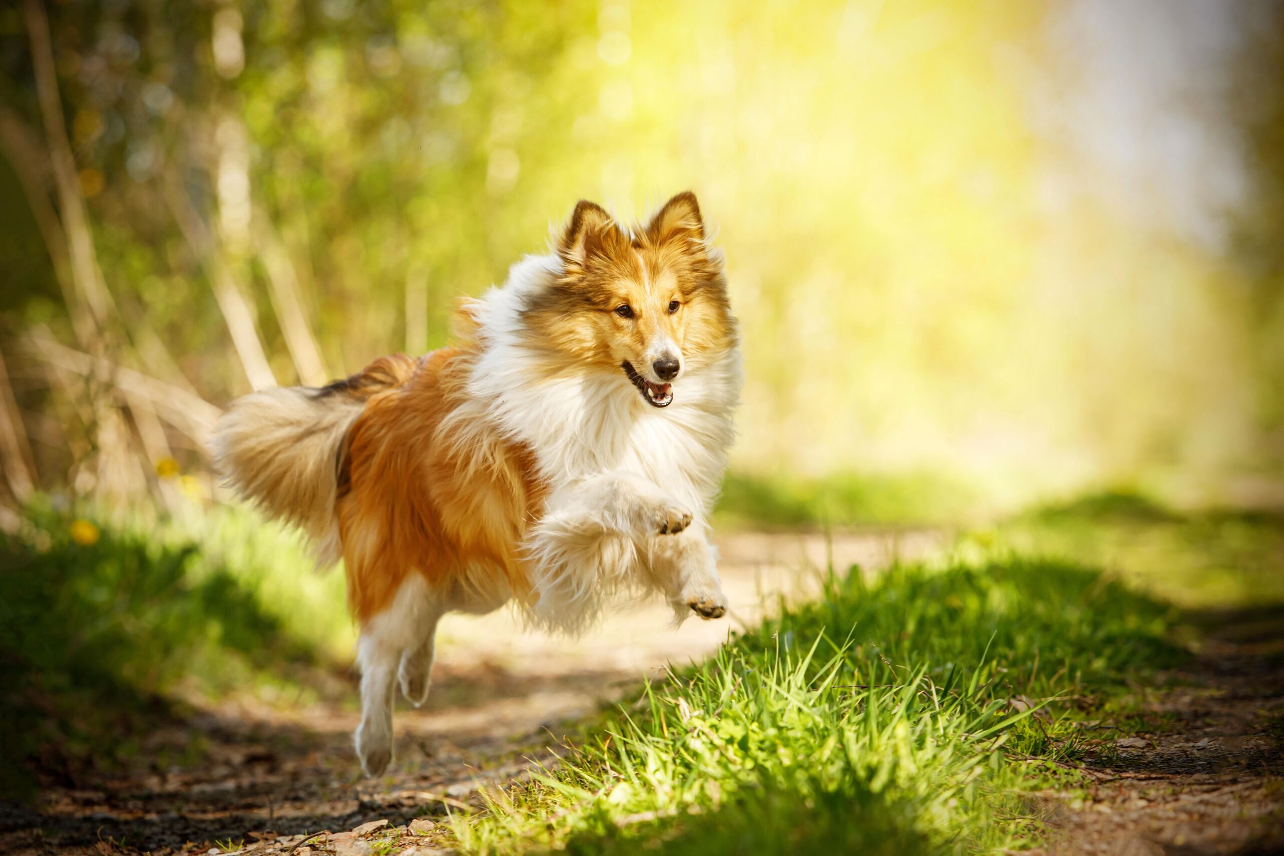 Fotó: Shutterstock