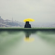 Fotó: Shutterstock