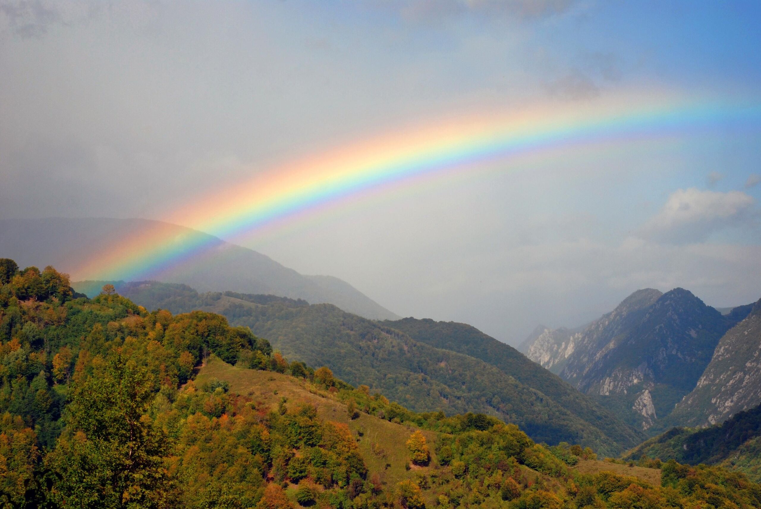 Fotó: Shutterstock