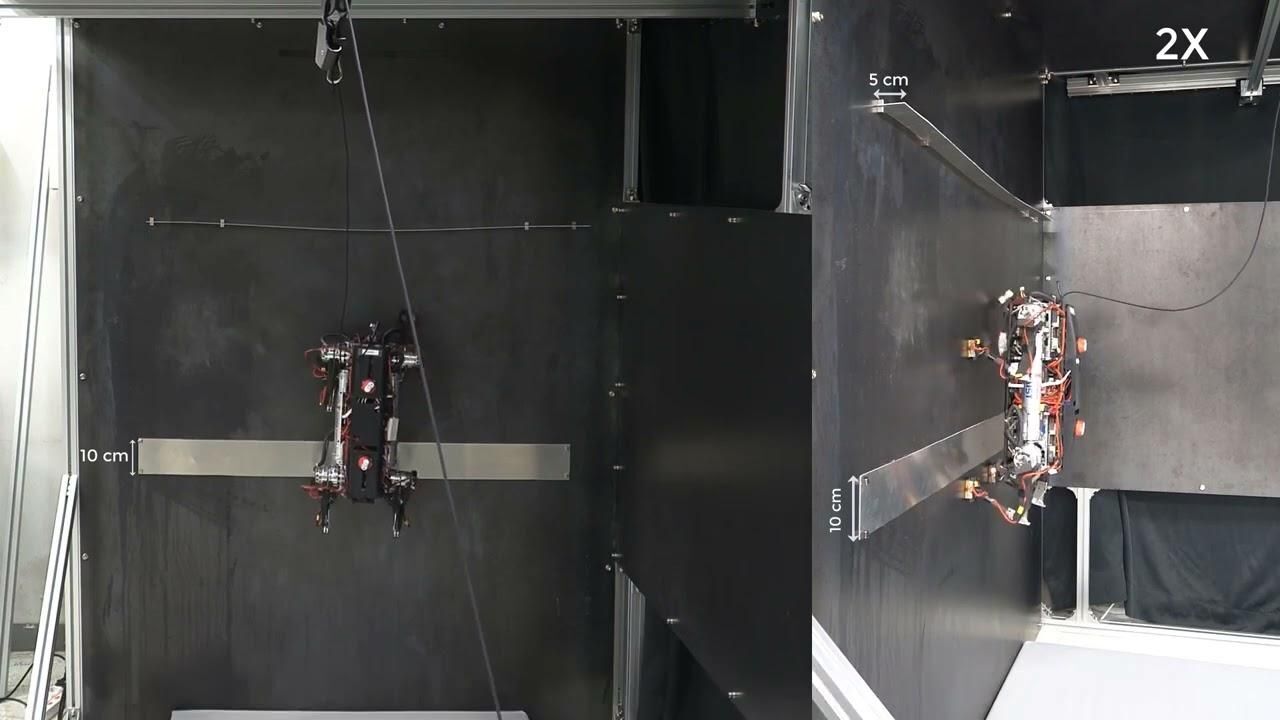 Youtube /  Science X: Phys.org, Medical Xpress, Tech Xplore