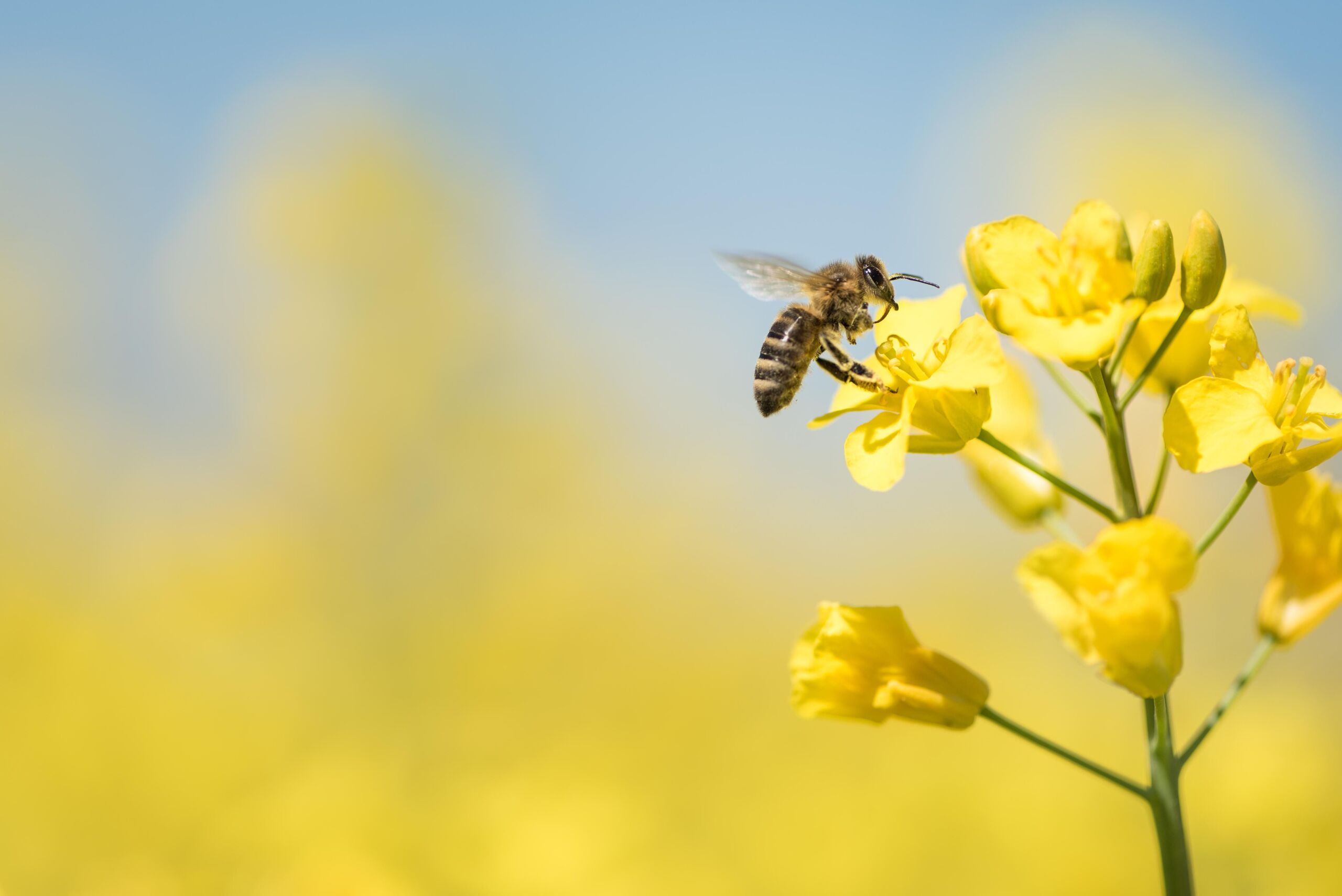 Fotó: Shutterstock