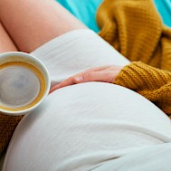 Fot&oacute;: Shutterstock