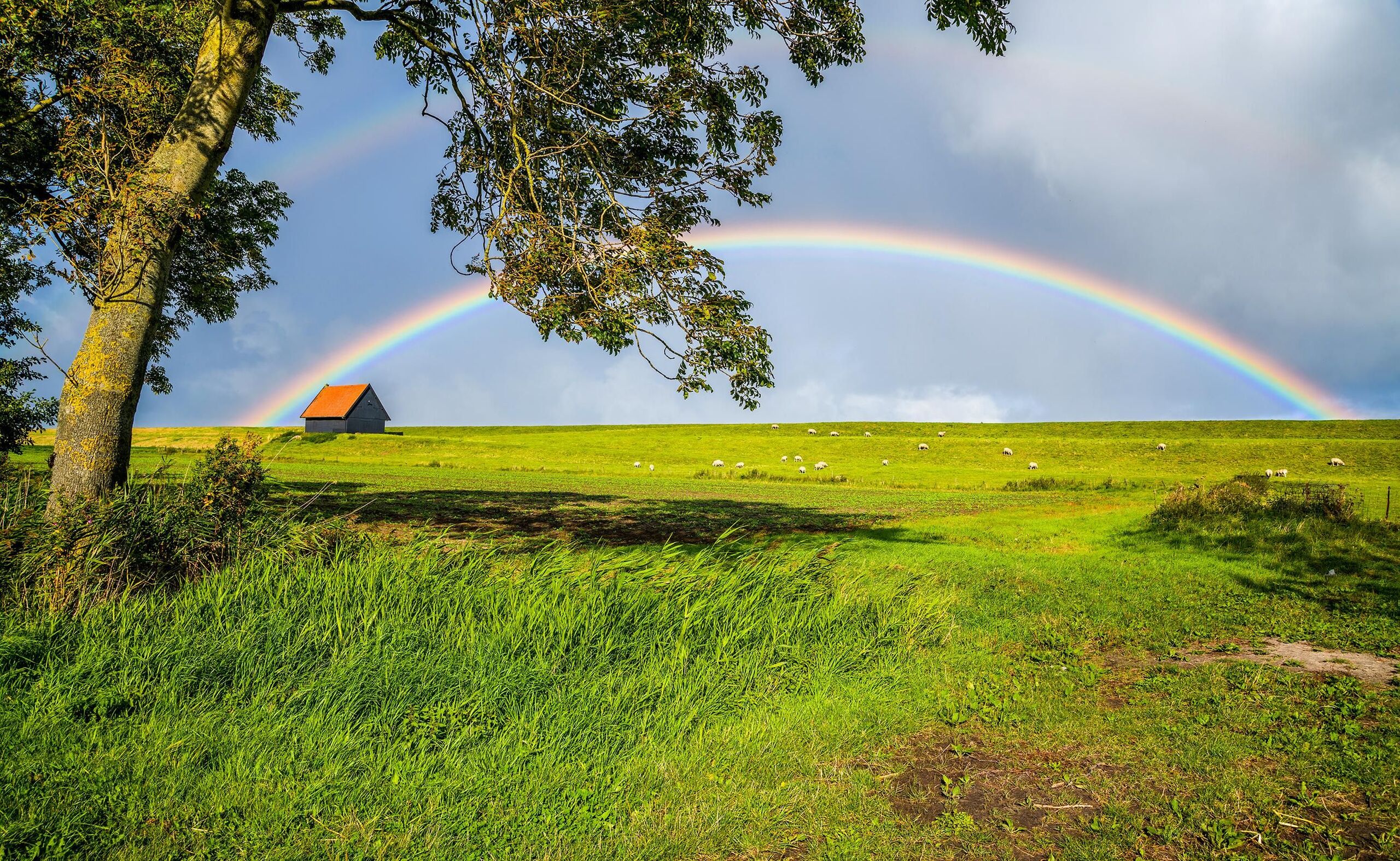 Fotó: Shutterstock