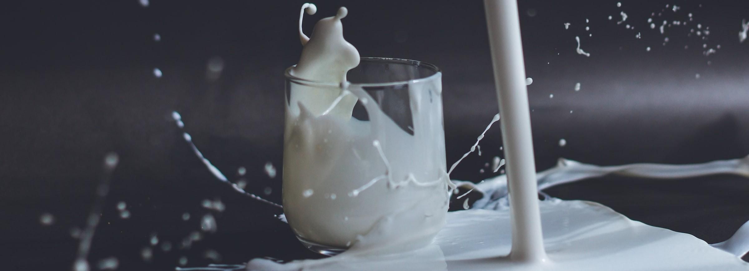 Anita Jankovic/Unsplash