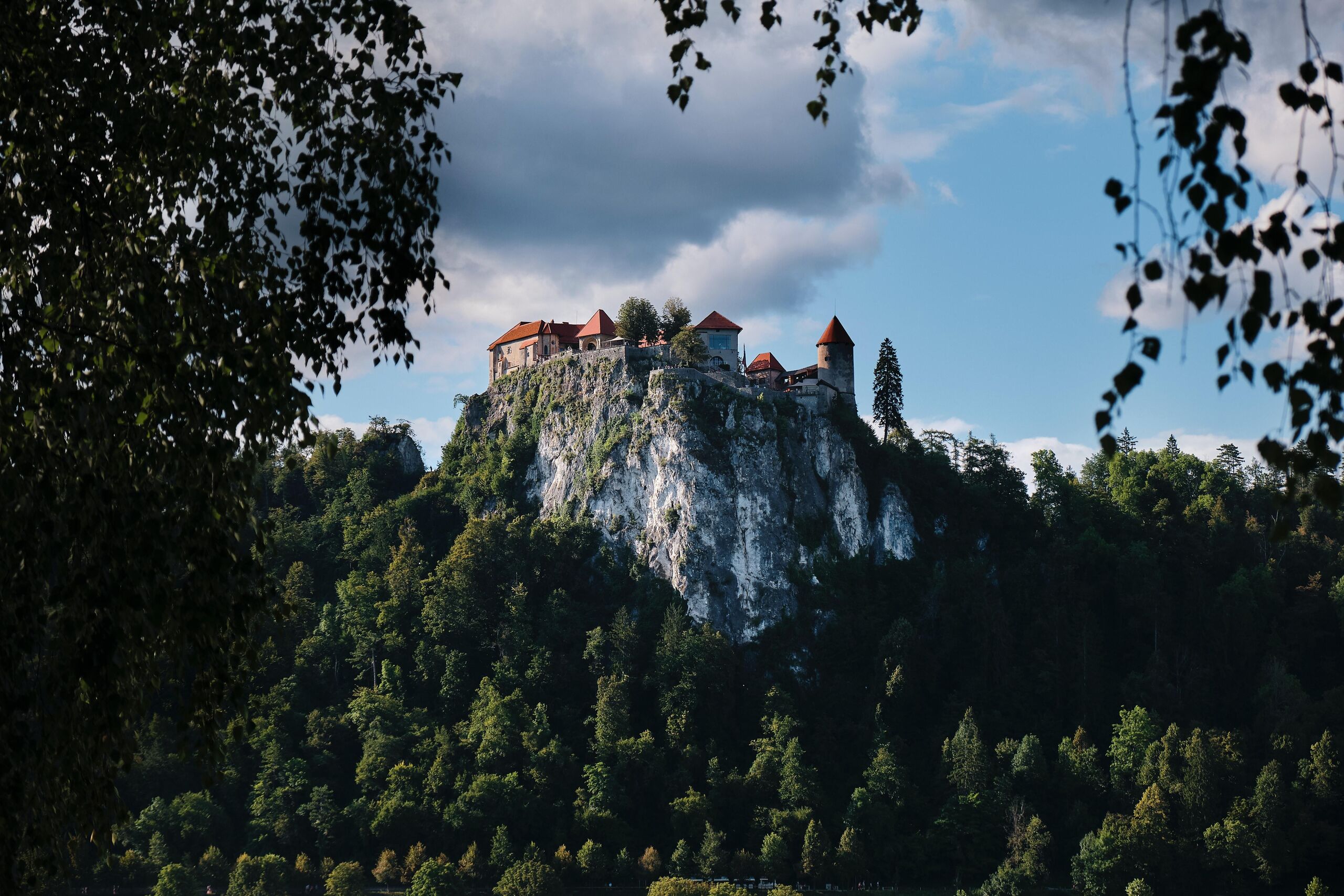  Frans Ruiter/Unsplash