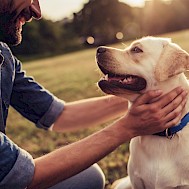 Fot&oacute;: Shutterstock
