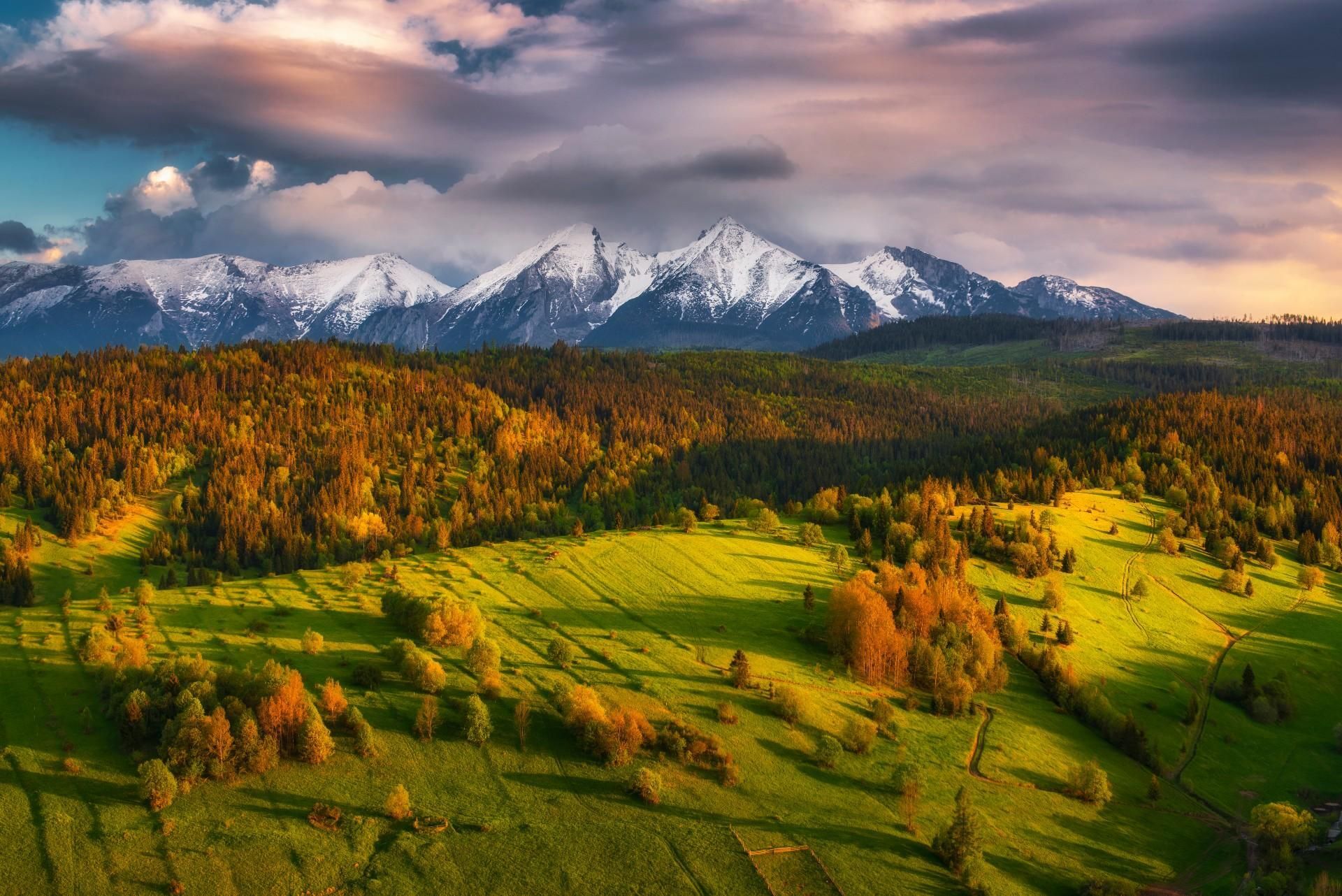 Fotó: Shutterstock