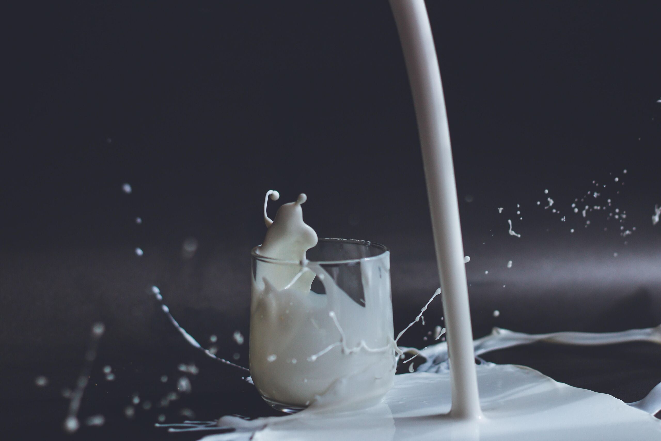 Anita Jankovic/Unsplash