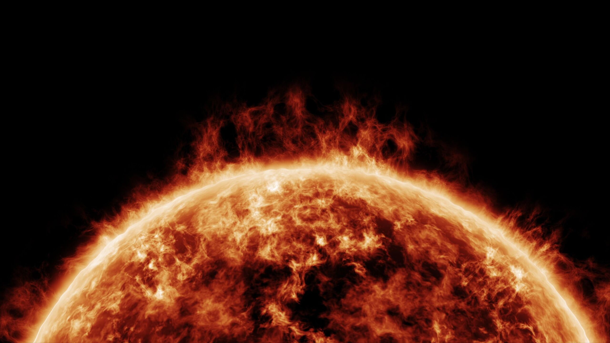 Shutterstock 