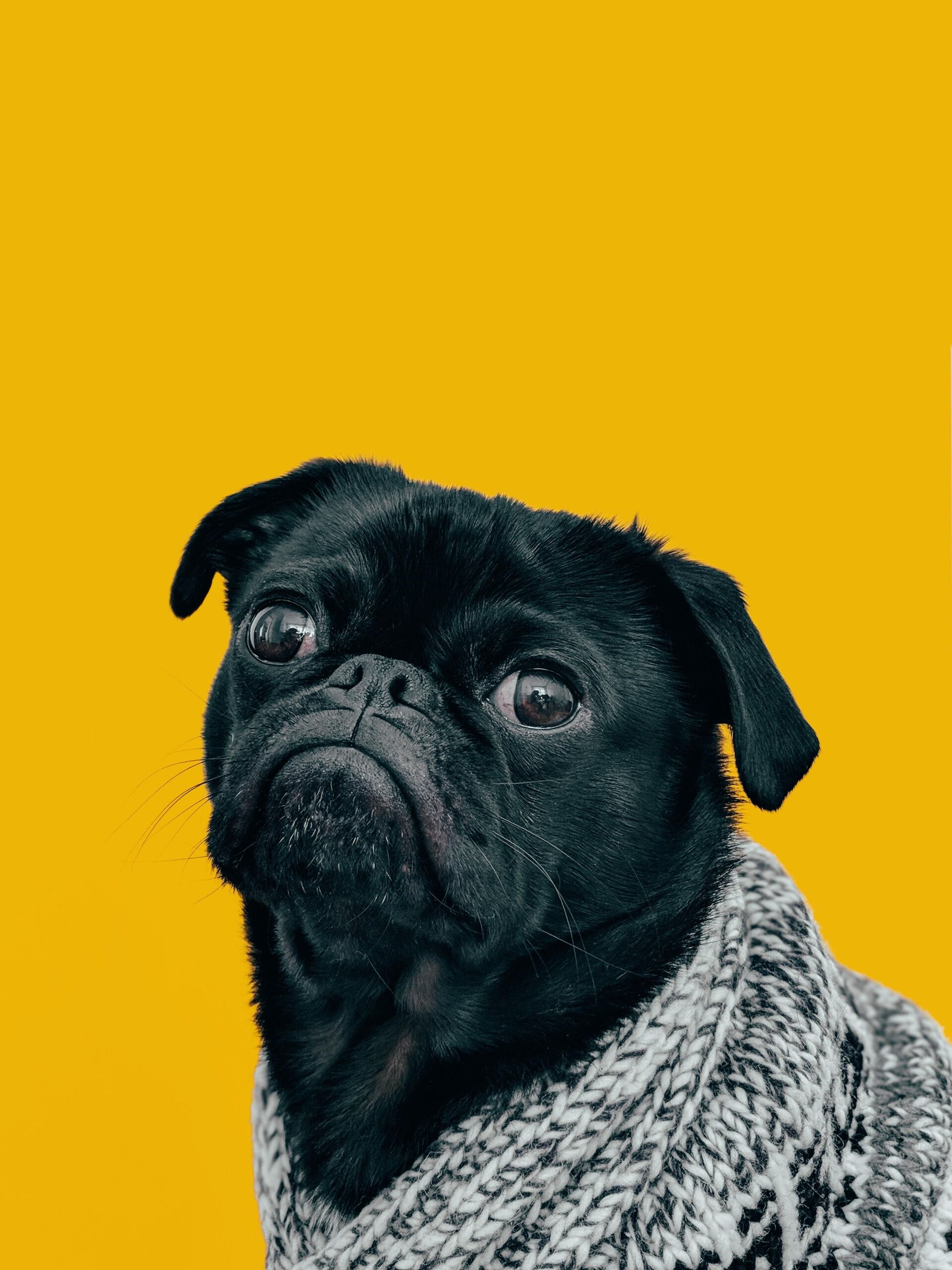 Unsplash/charlesdeluvio