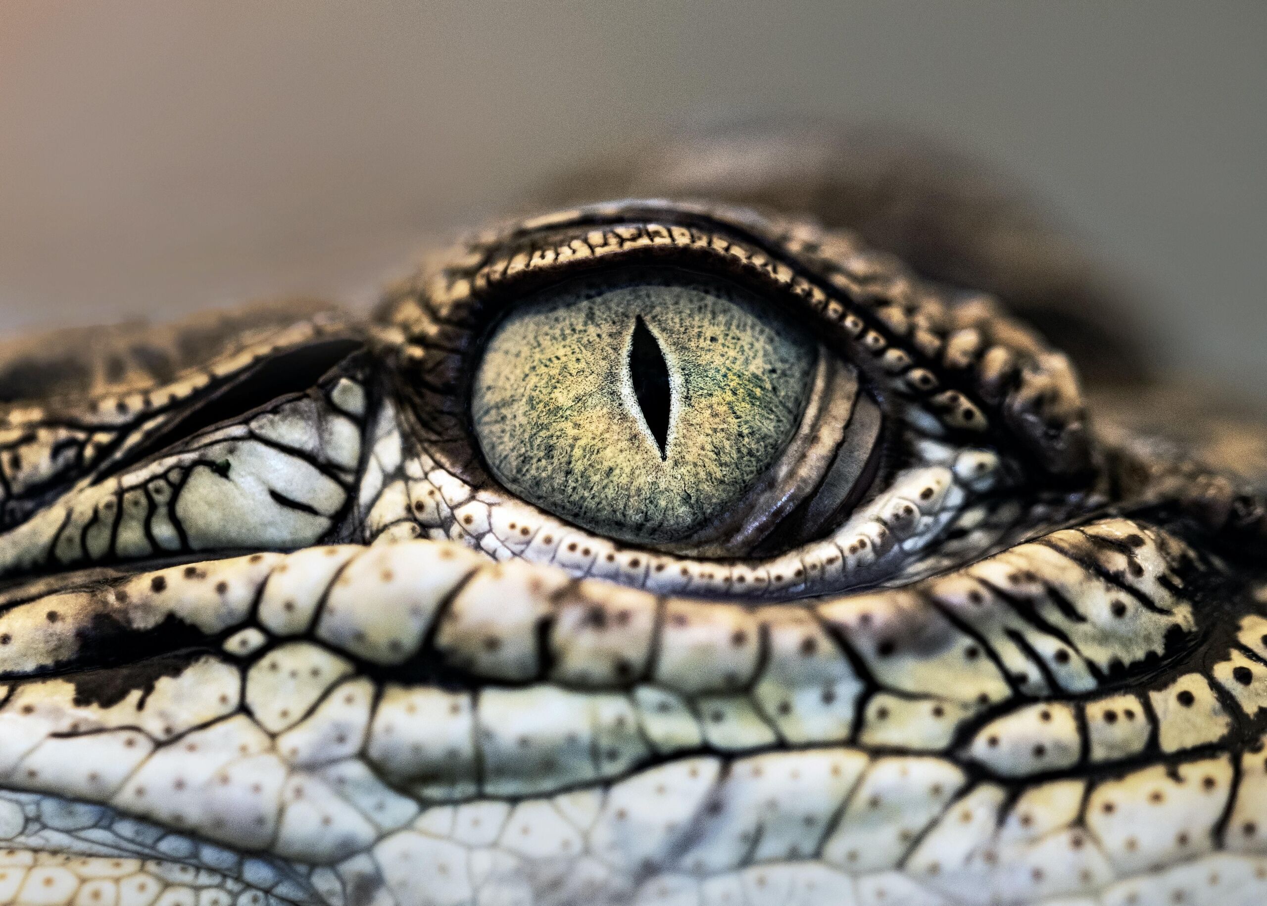 Unsplash/David Clode