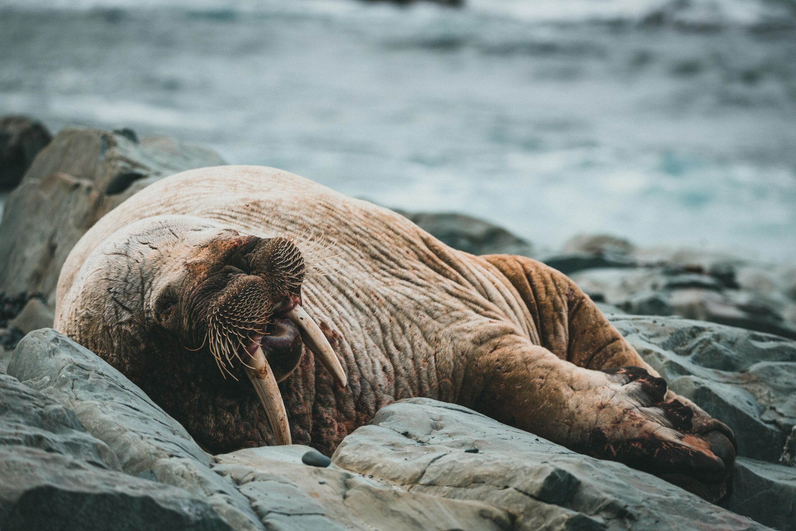 Unsplash/Jonathan Cooper