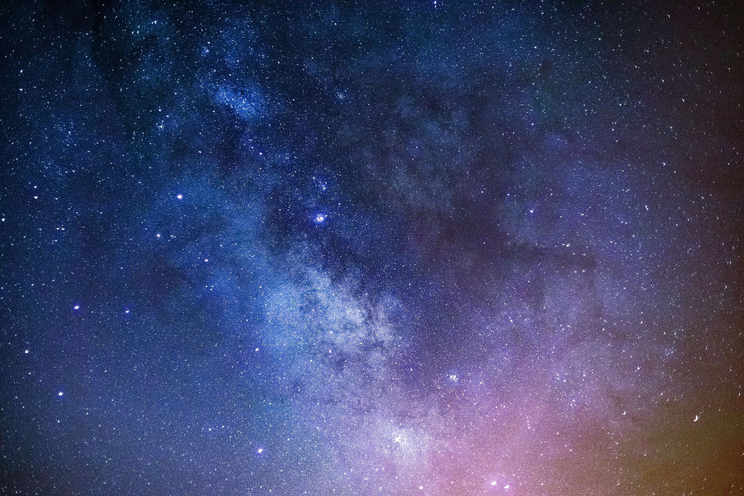  Andy Holmes/Unsplash