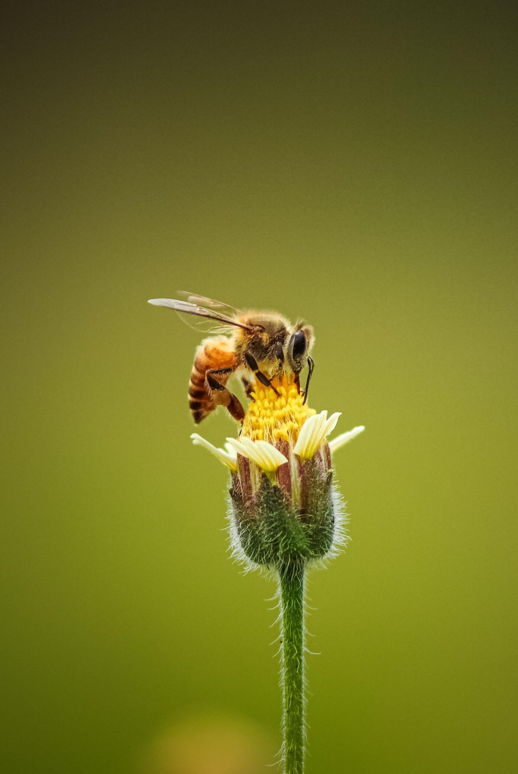 Unsplash