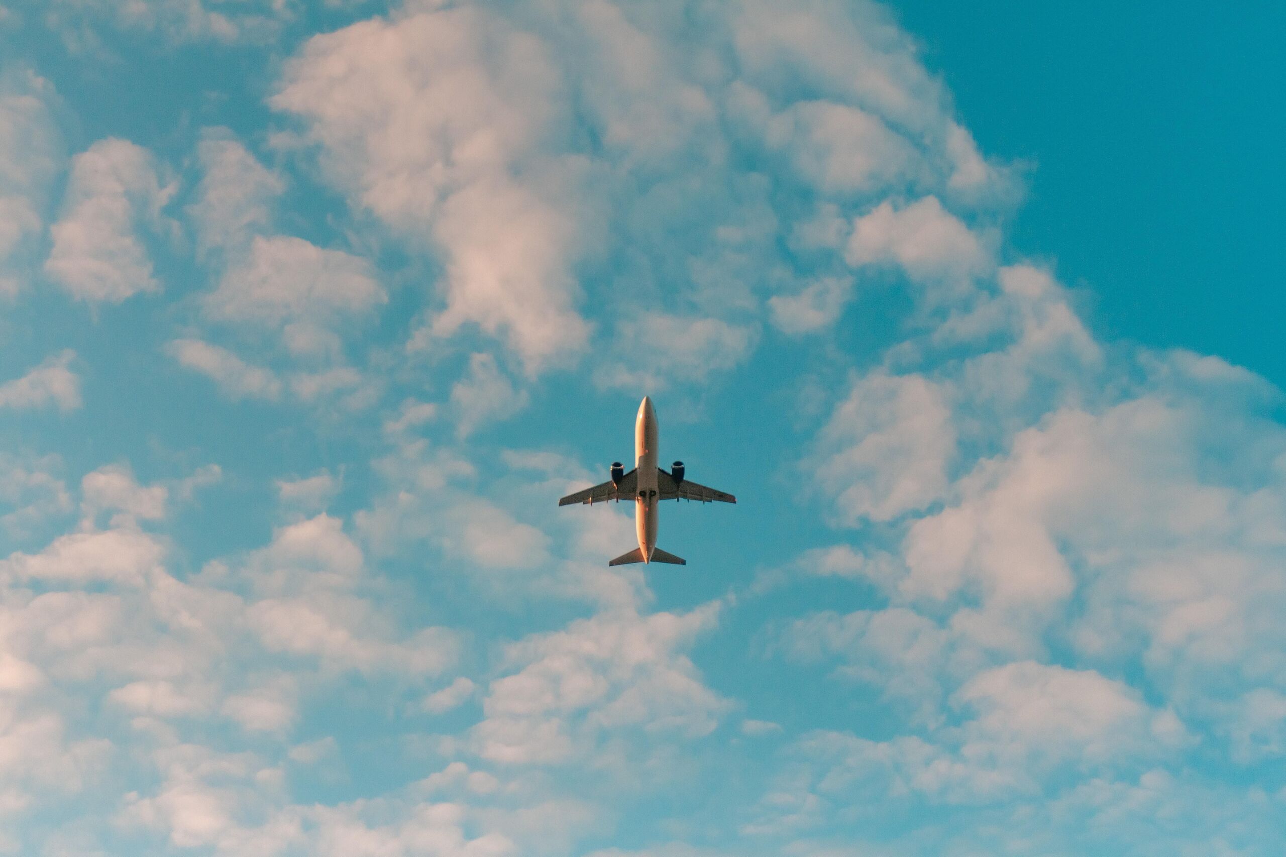 Unsplash/Philip Myrtorp