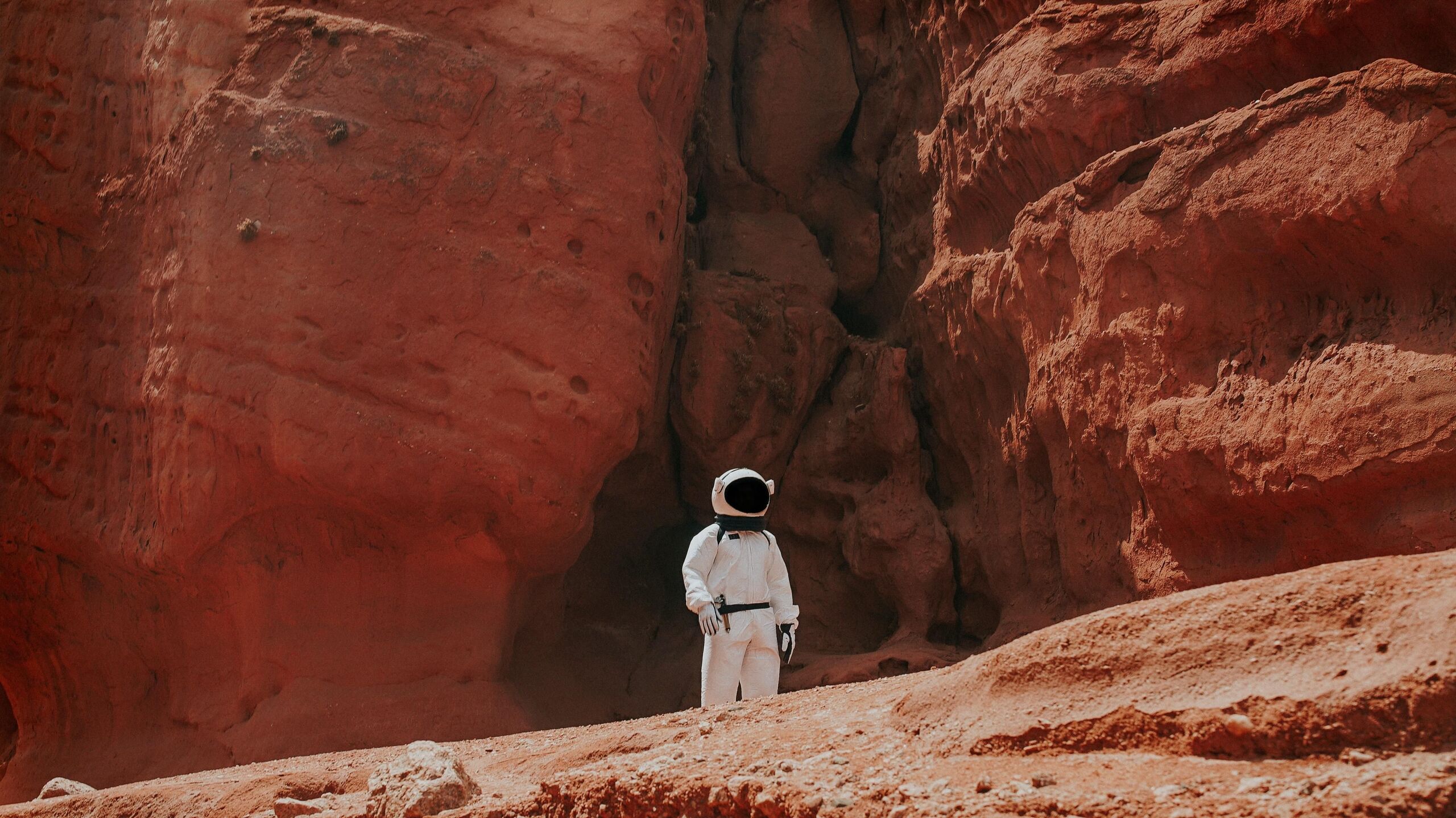 Nicolas Lobos/Unsplash