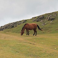 Fot&oacute;: Hasan Amar / unsplash