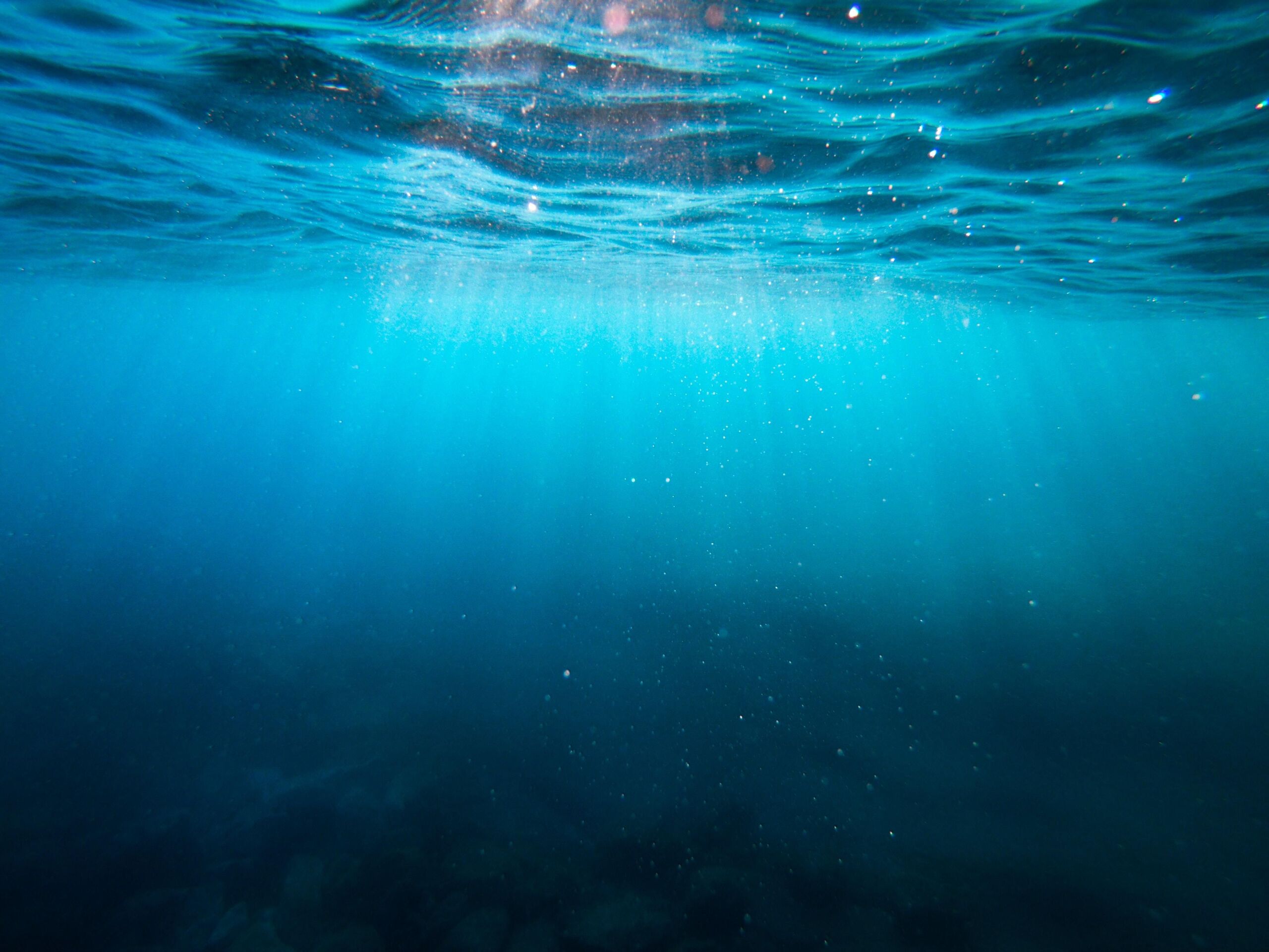Unsplash/Cristian Palmer