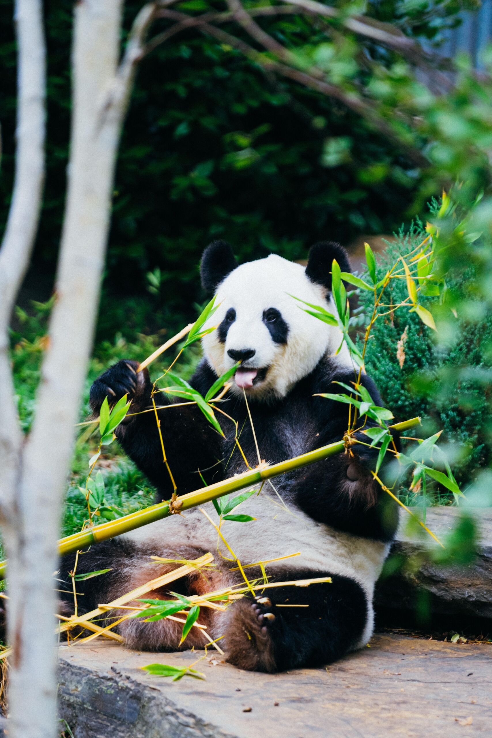 Unsplash/Jay Wennington