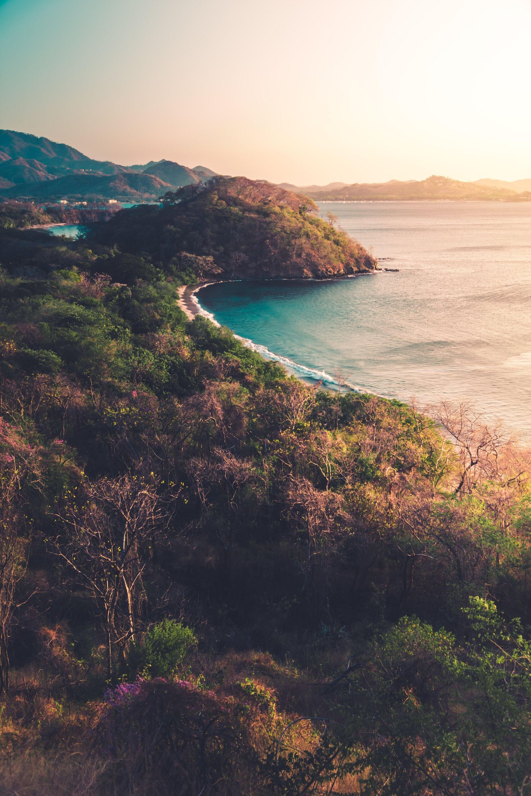  Max Bender/Unsplash