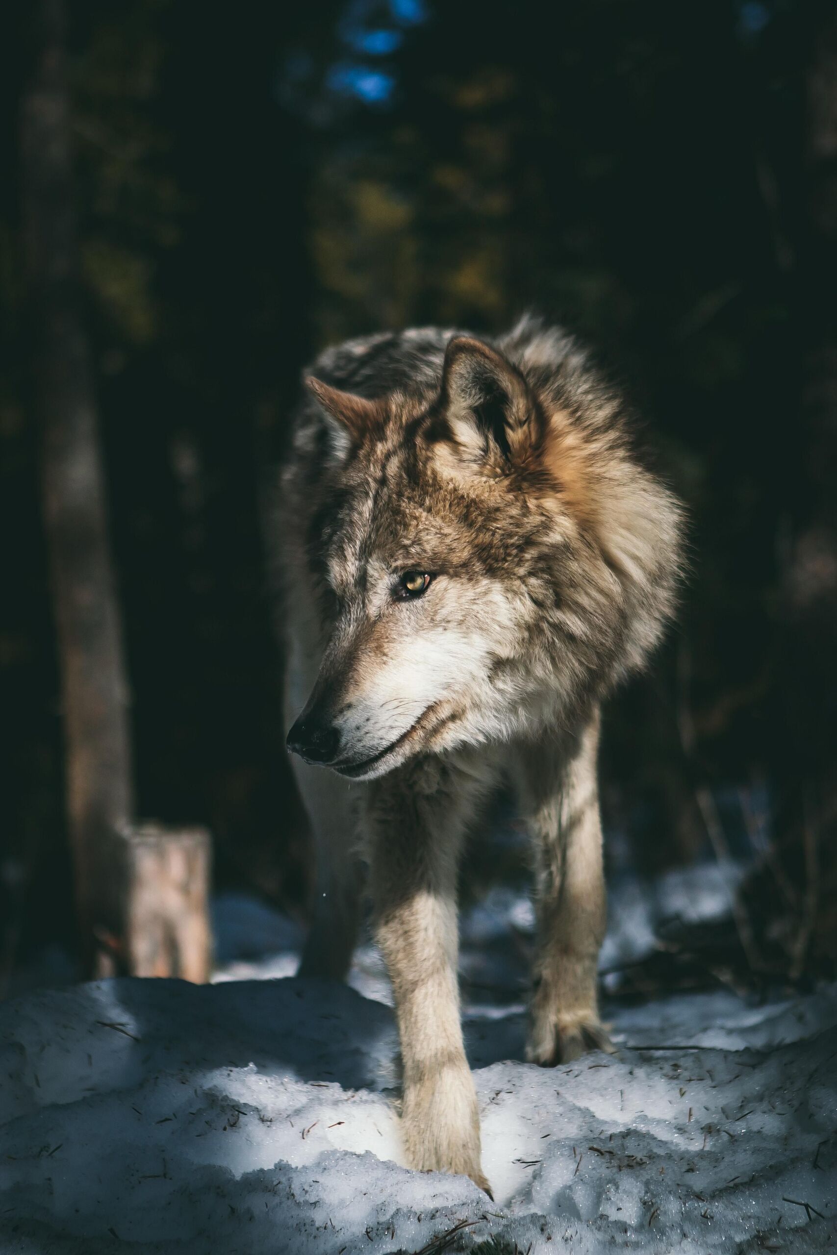 Unsplash/Andrew Ly