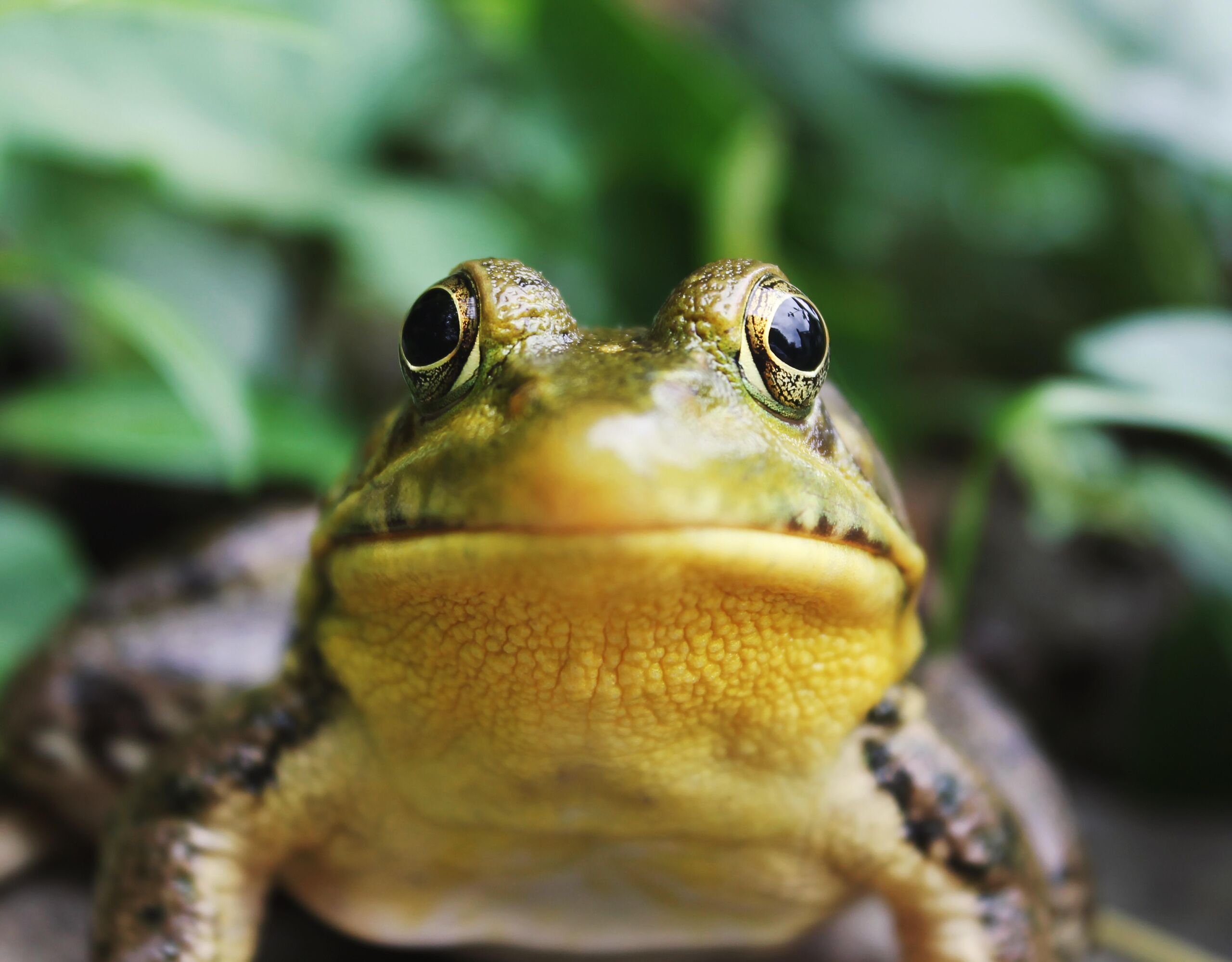  Unsplash