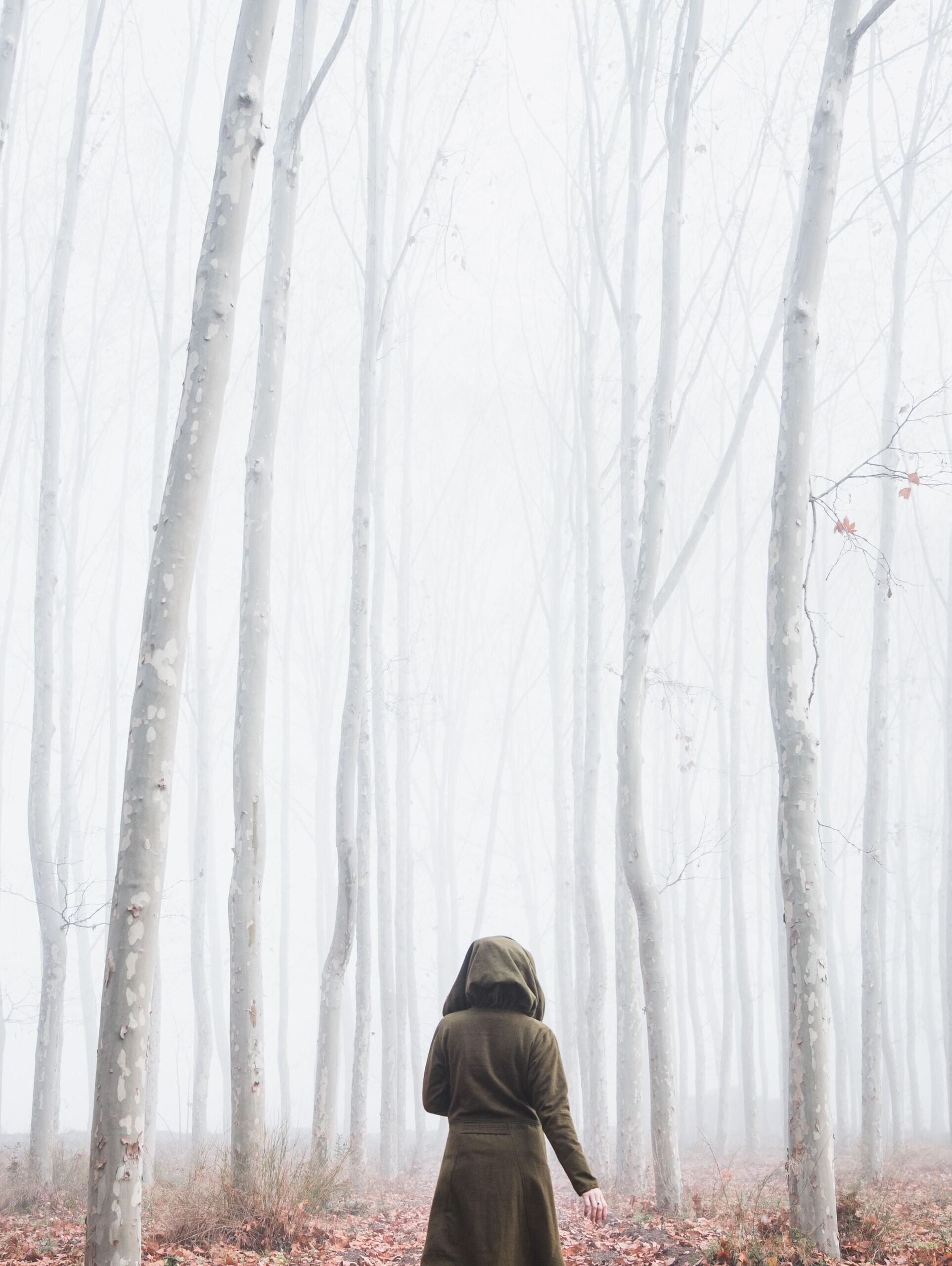 Fotó: Miriam Espacio / unsplash
