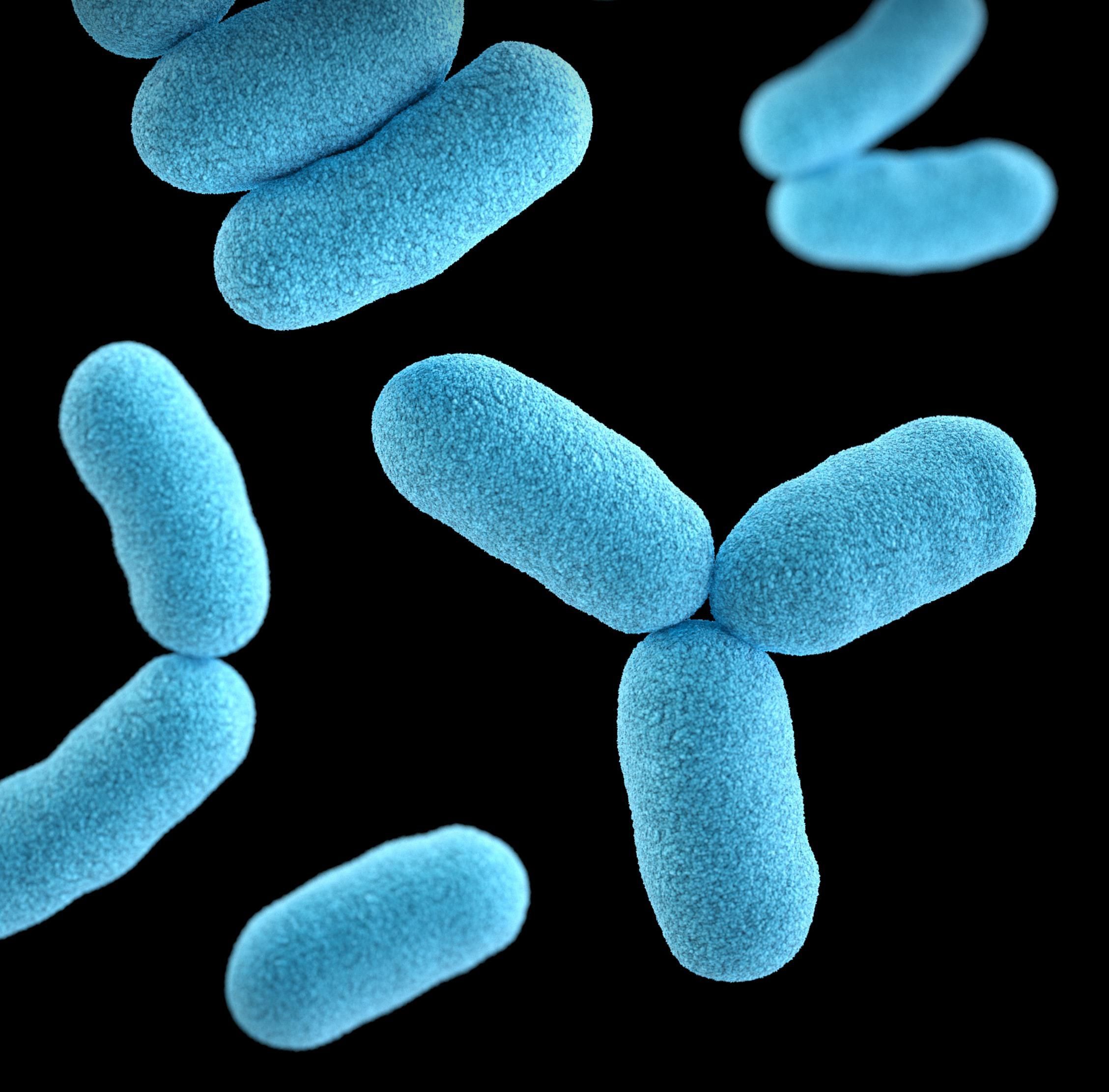 CDC/Unsplash
