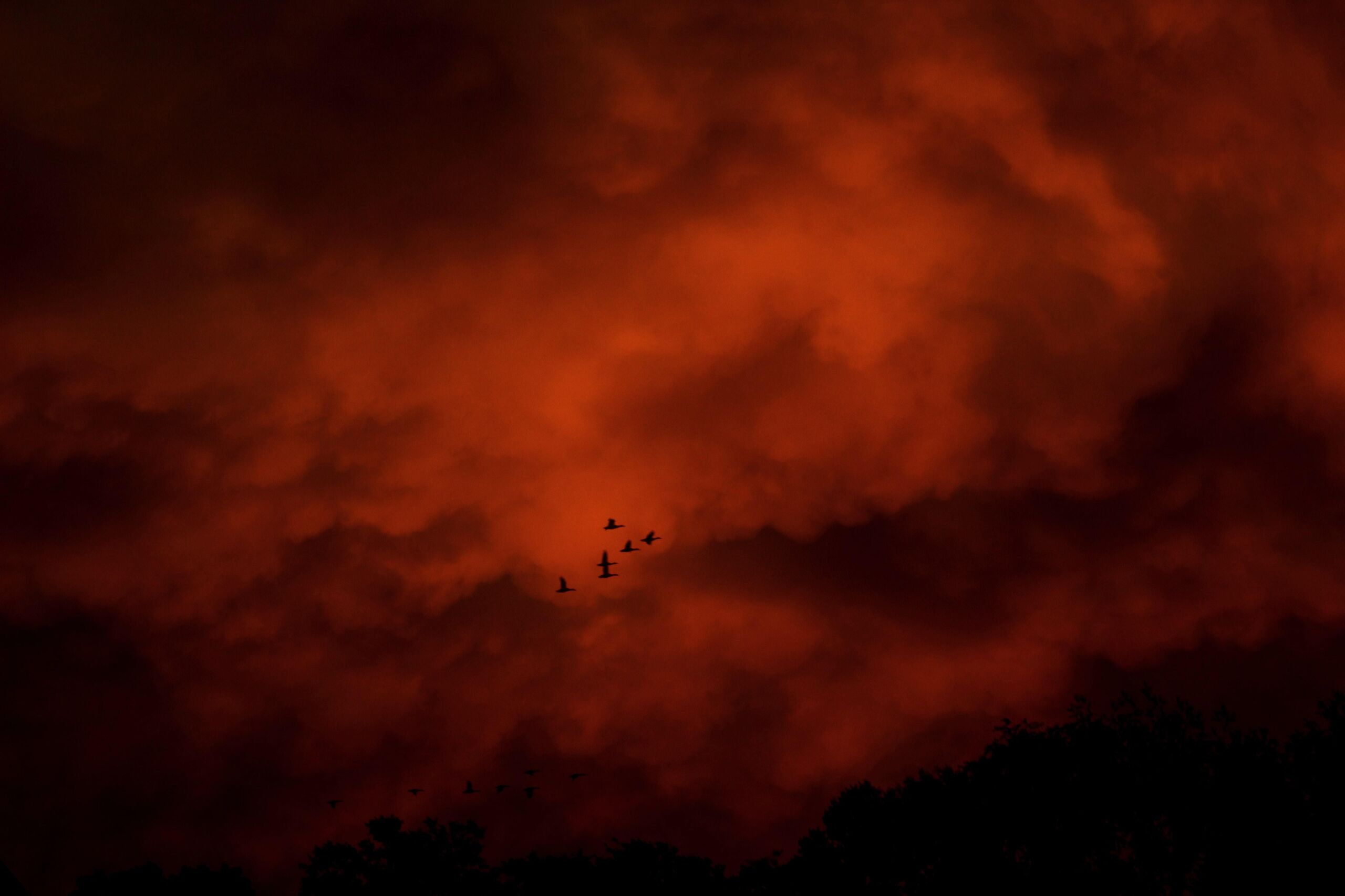 Unsplash