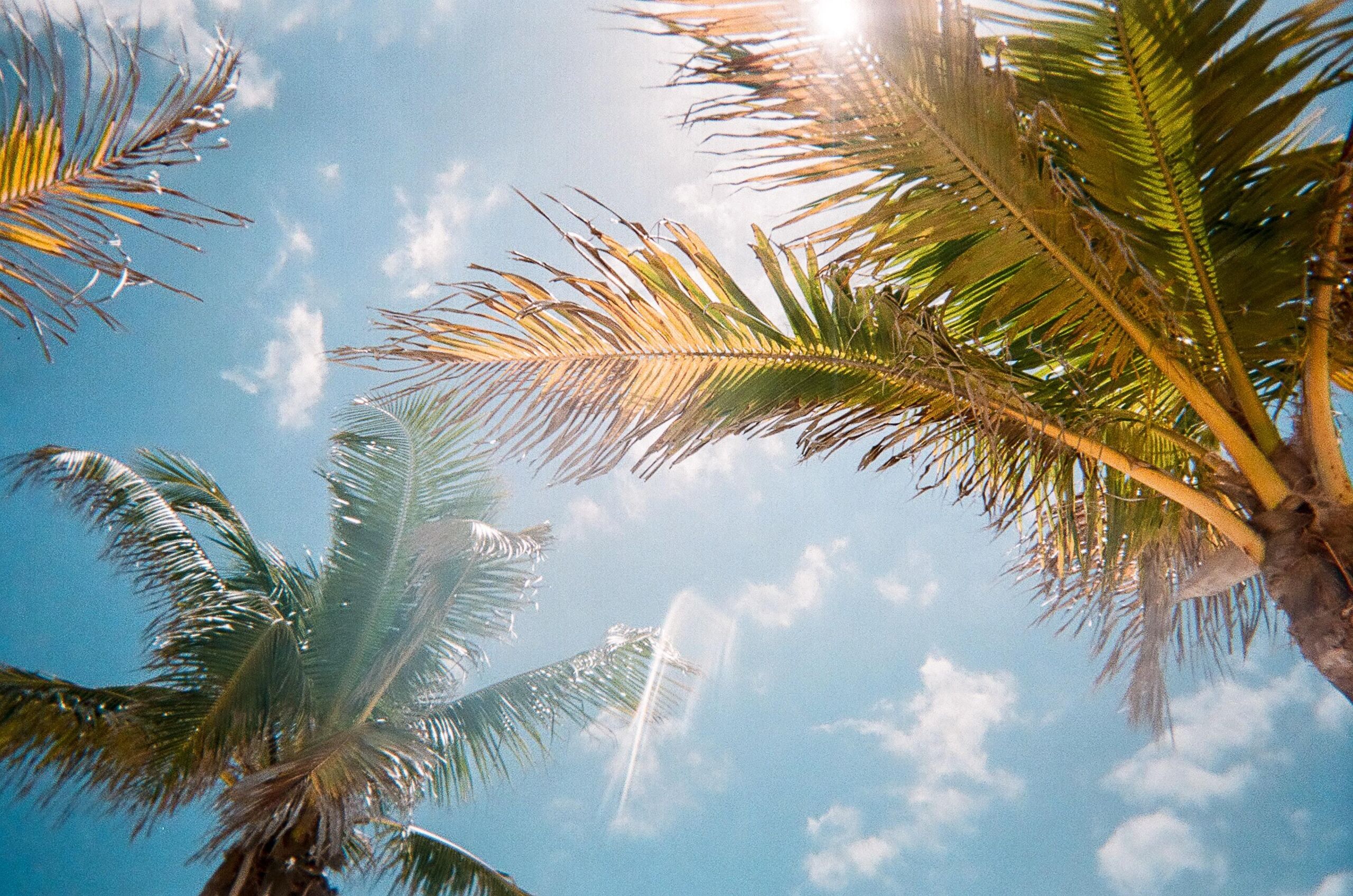 Jorge Vasconez/Unsplash