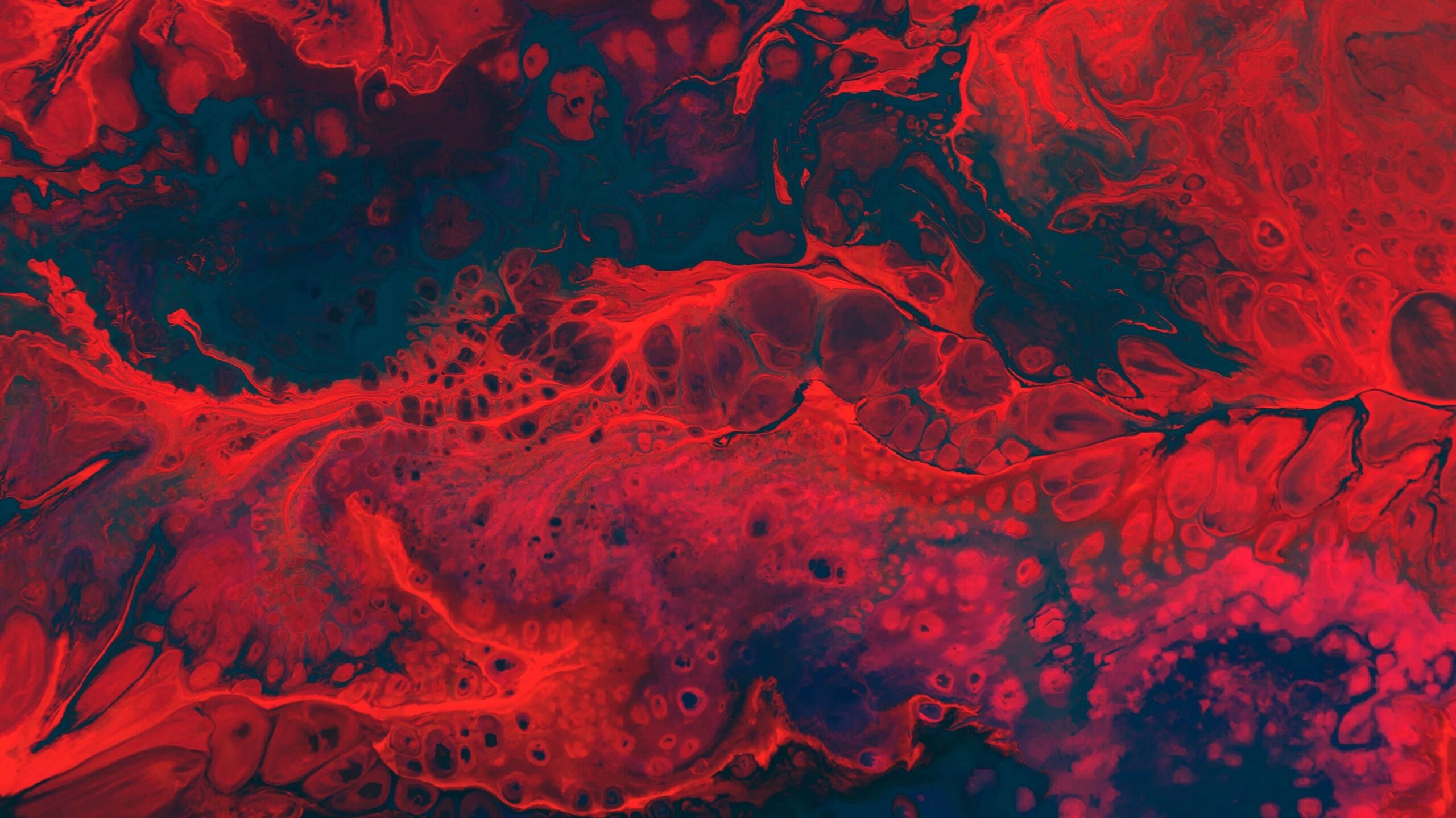 Unsplash/Cassi Josh