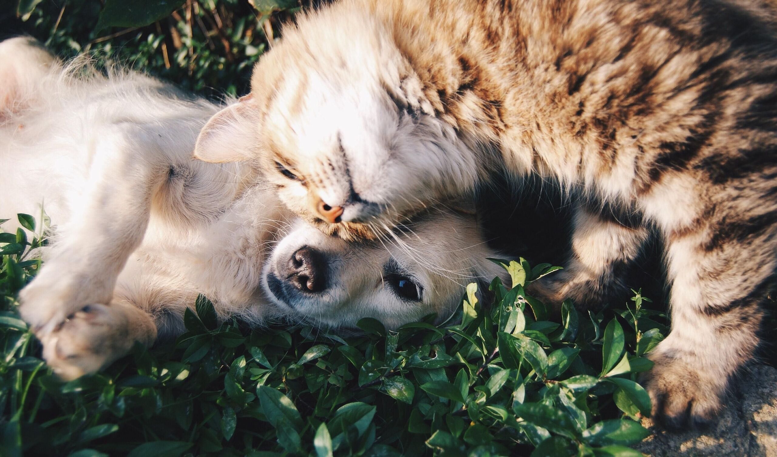 Unsplash/Krista Mangulsone
