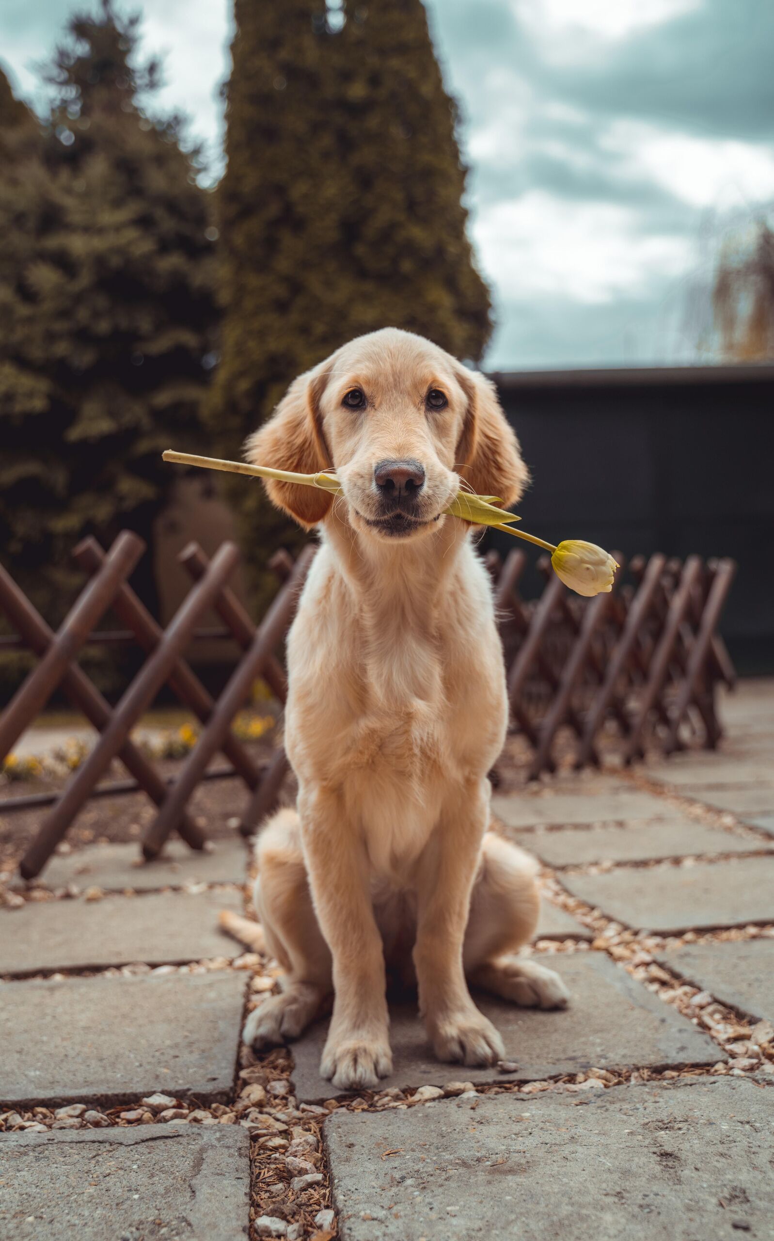 Unsplash