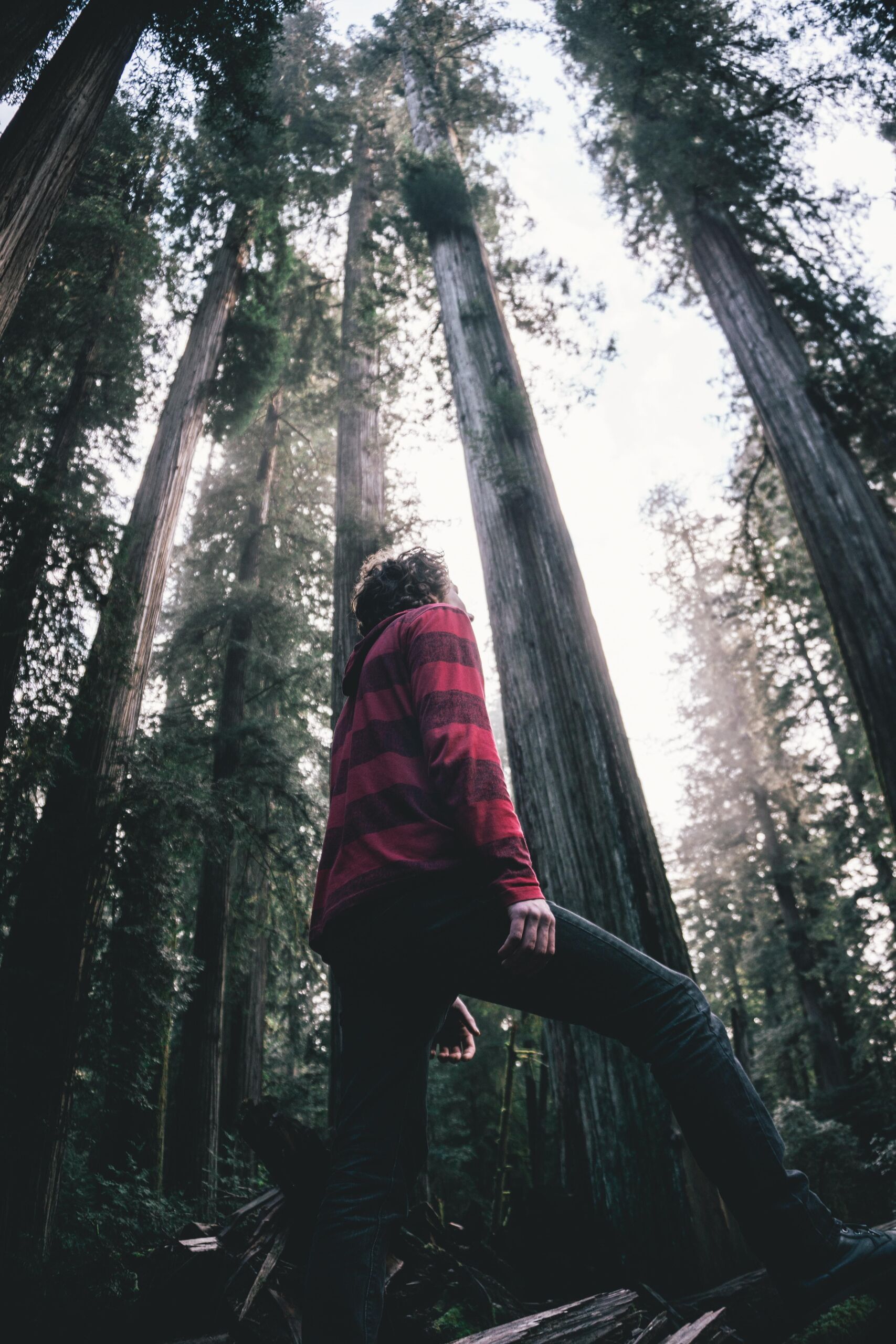 Unsplash/Ruben Mishchuk