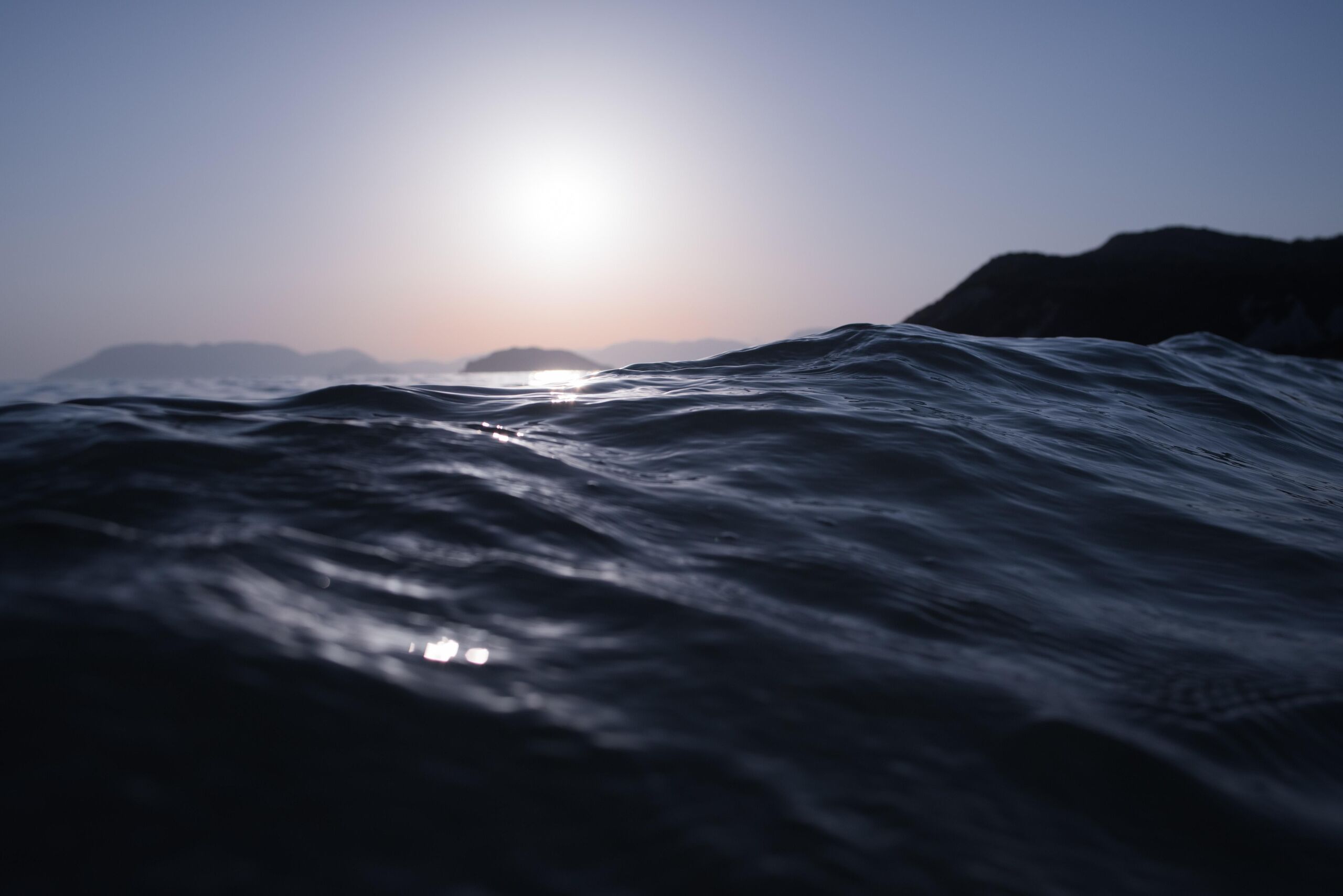 Unsplash/Viktor Jakovlev