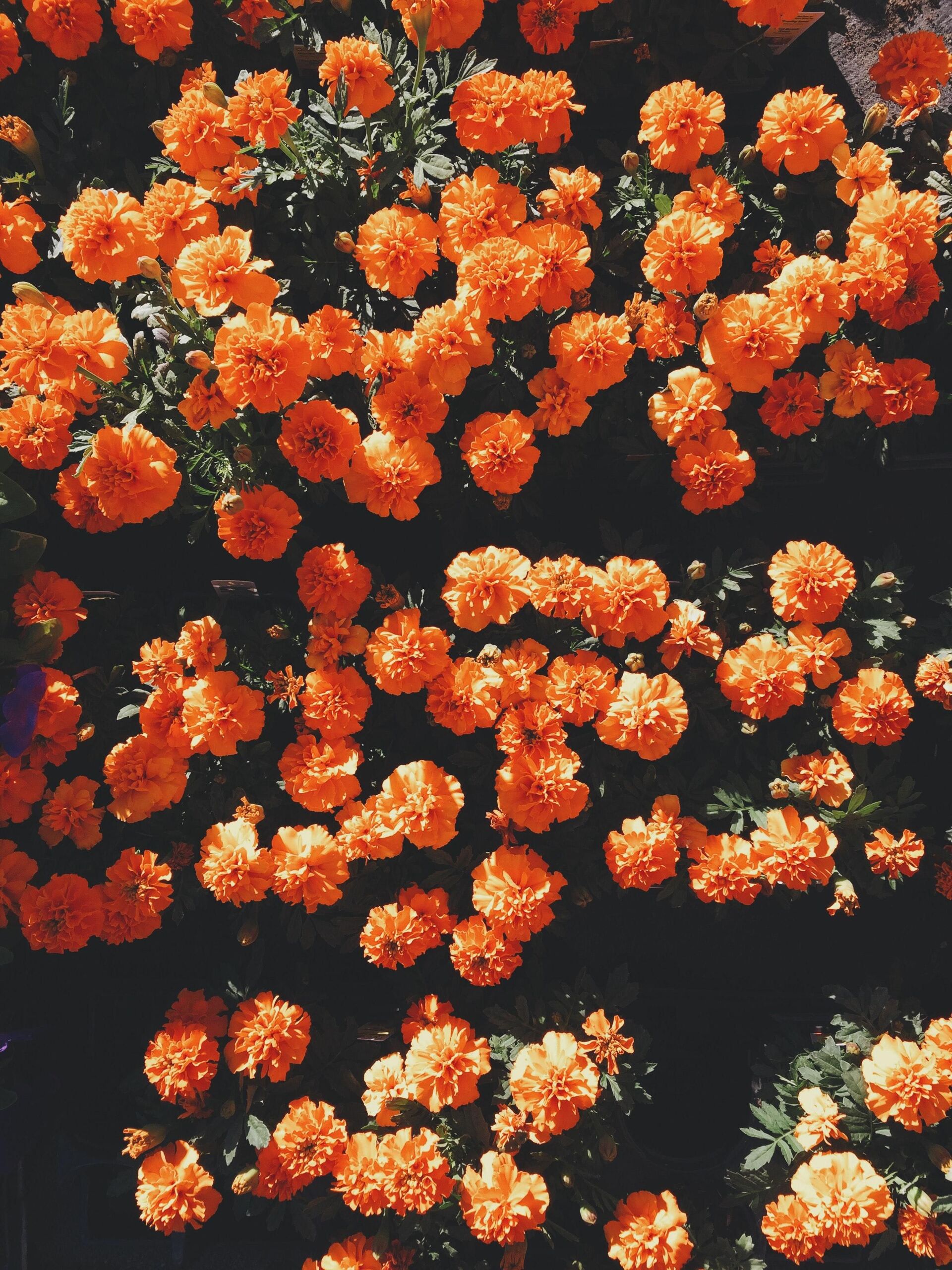 RepentAnd SeekChristJesus/Unsplash
